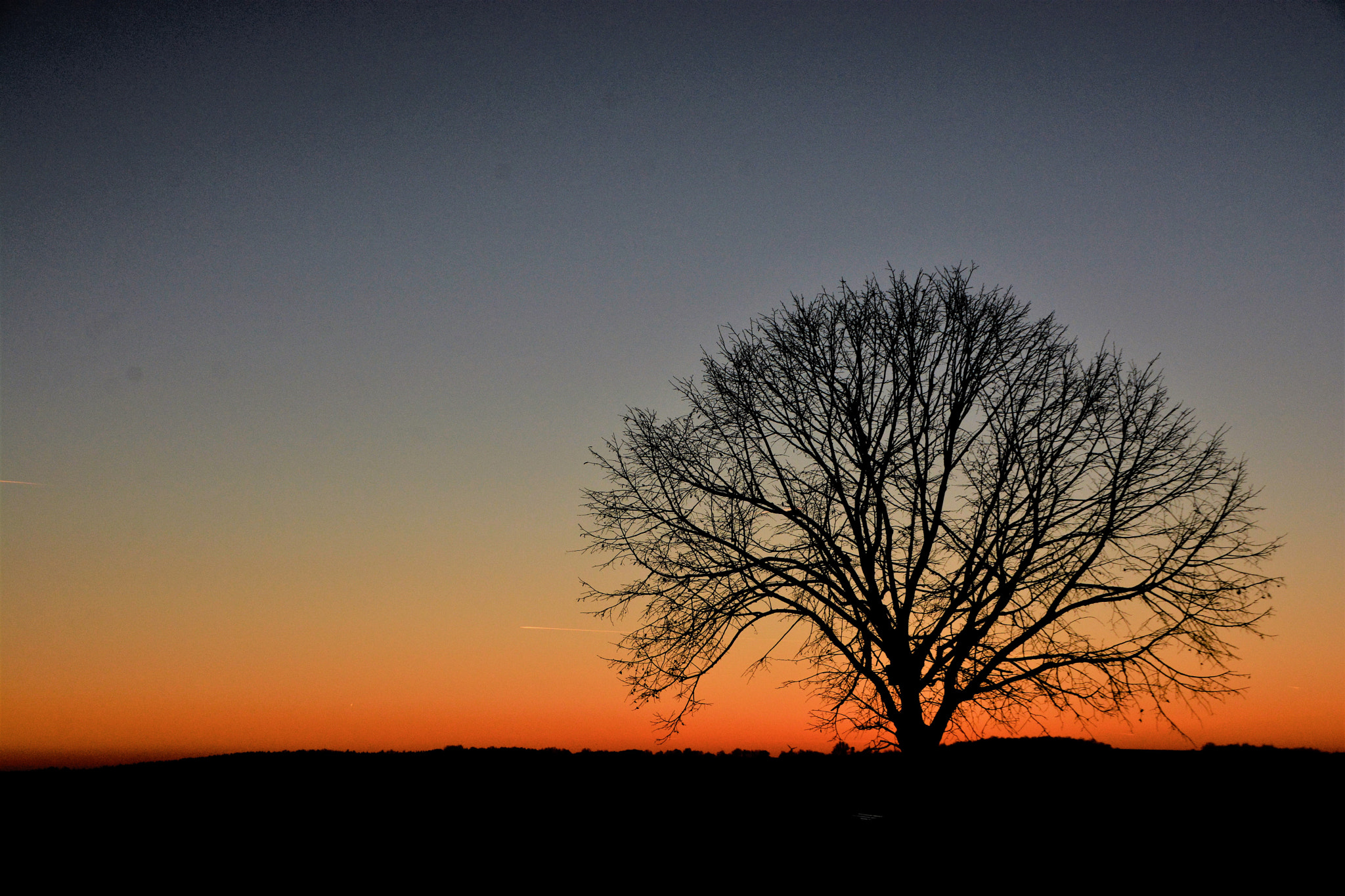 Sigma 18-250mm F3.5-6.3 DC OS HSM sample photo. Last sunset 2016 - best wishes for 2017 photography