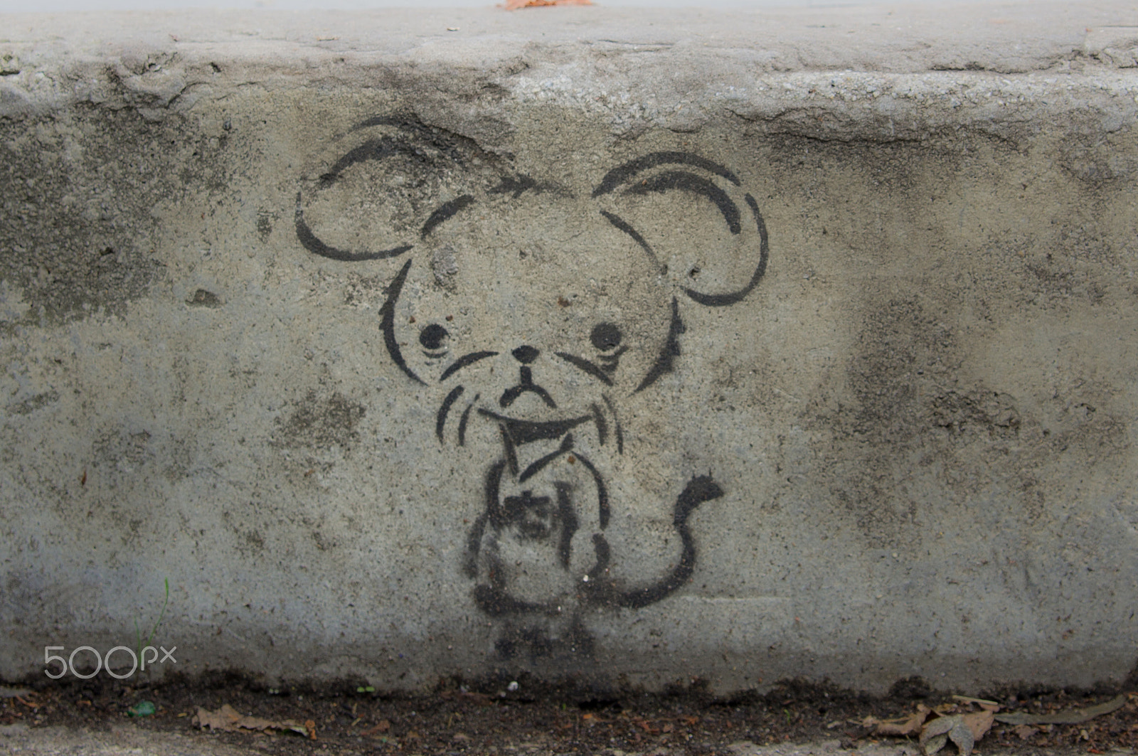 Sony Alpha DSLR-A580 + Tamron SP 24-70mm F2.8 Di VC USD sample photo. Sad mouse of edinburgh photography