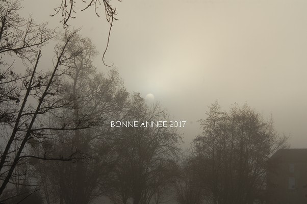 AF Nikkor 70-210mm f/4-5.6 sample photo. Bonne annee photography