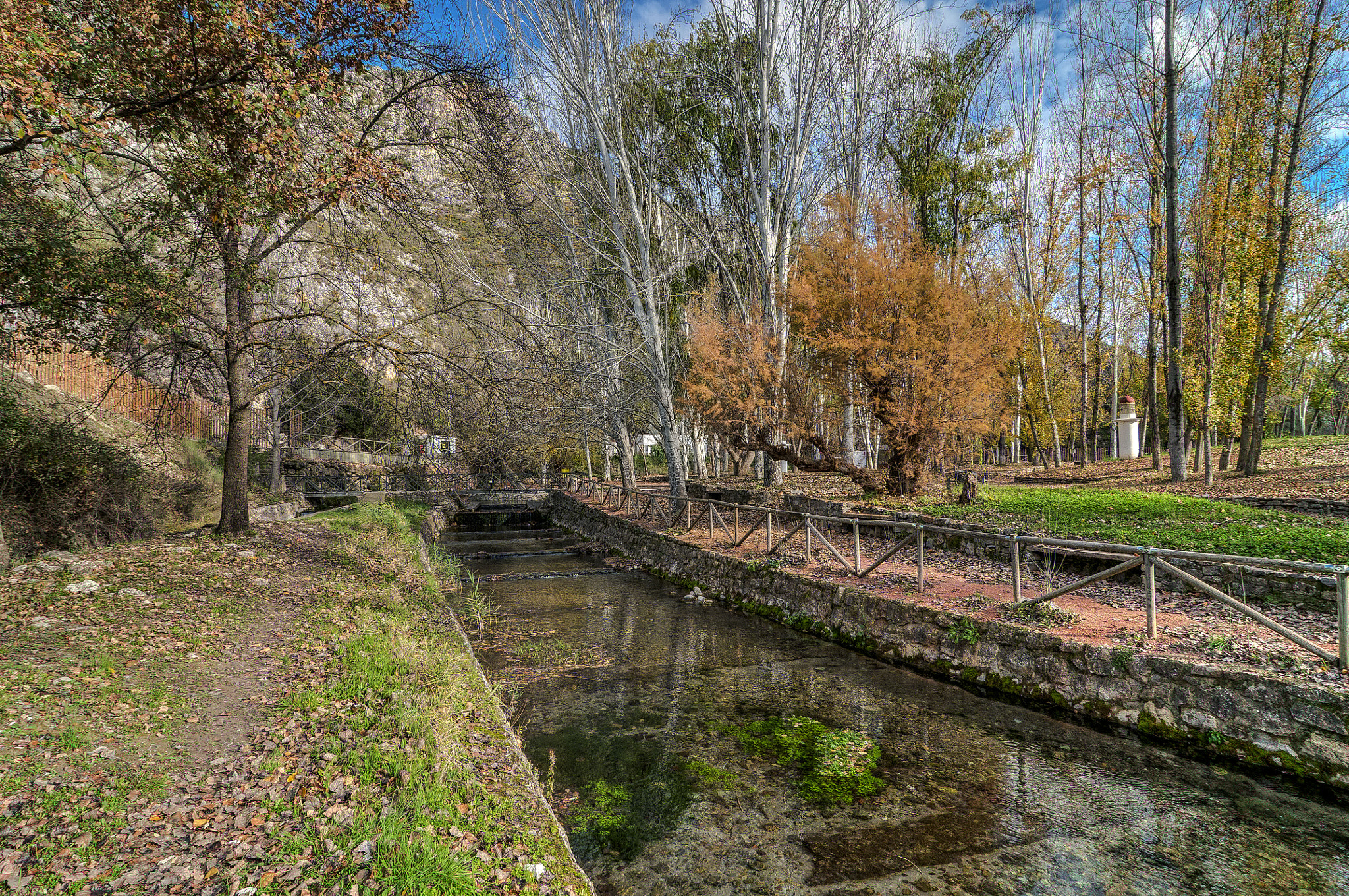 Tokina AT-X Pro 12-24mm F4 (IF) DX sample photo. Colores del otoño photography