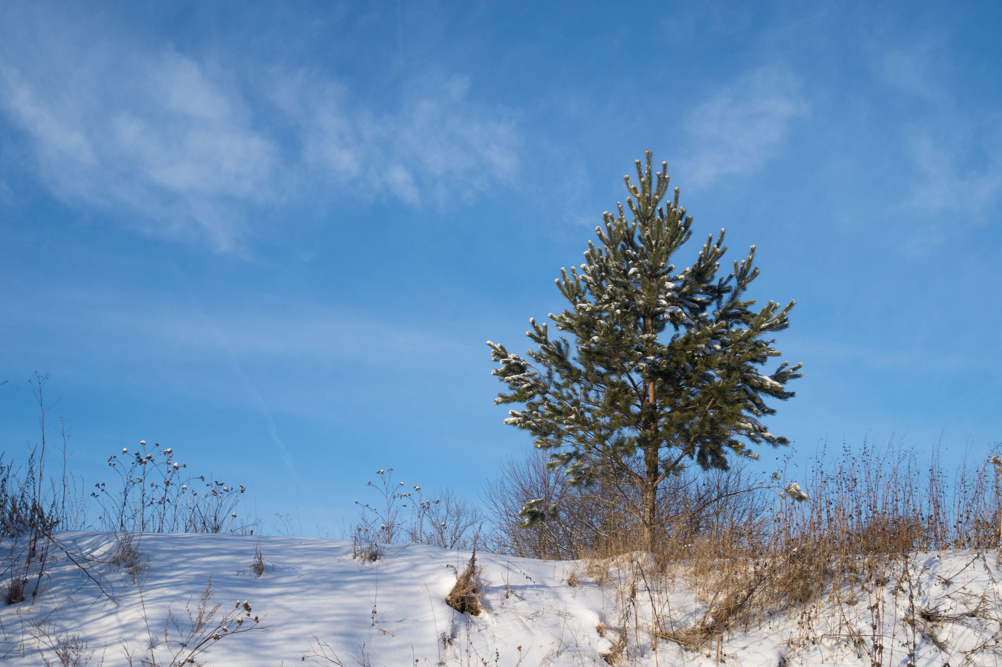 E 18-50mm F4-5.6 sample photo. с photography