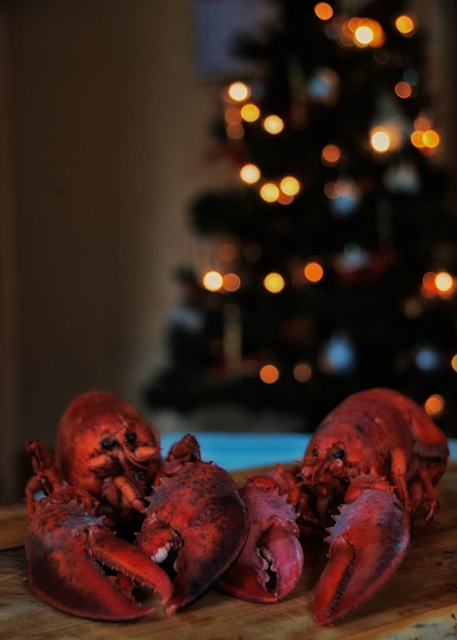 Sigma 18-200mm F3.5-6.3 DC OS HSM sample photo. Happy new year! photography