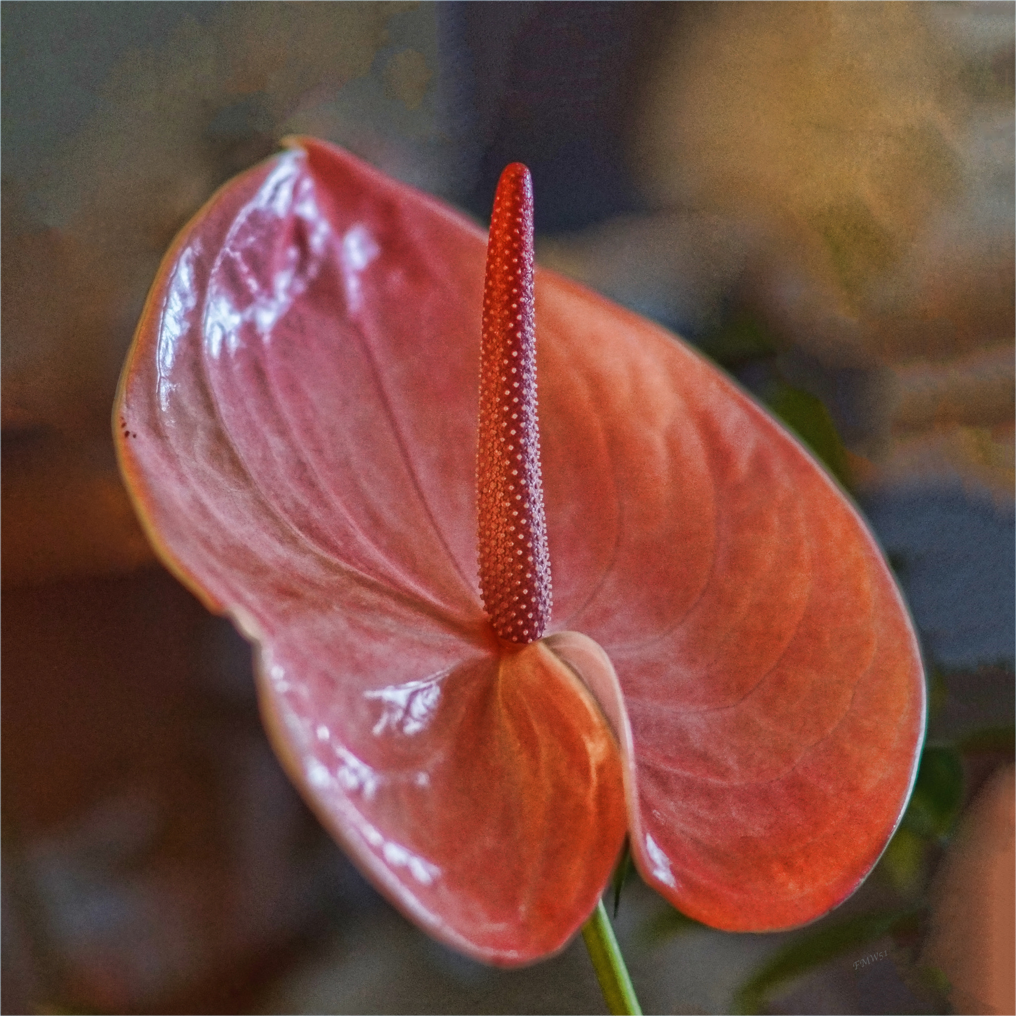 Sony Planar T* 85mm F1.4 ZA sample photo. Still standing photography