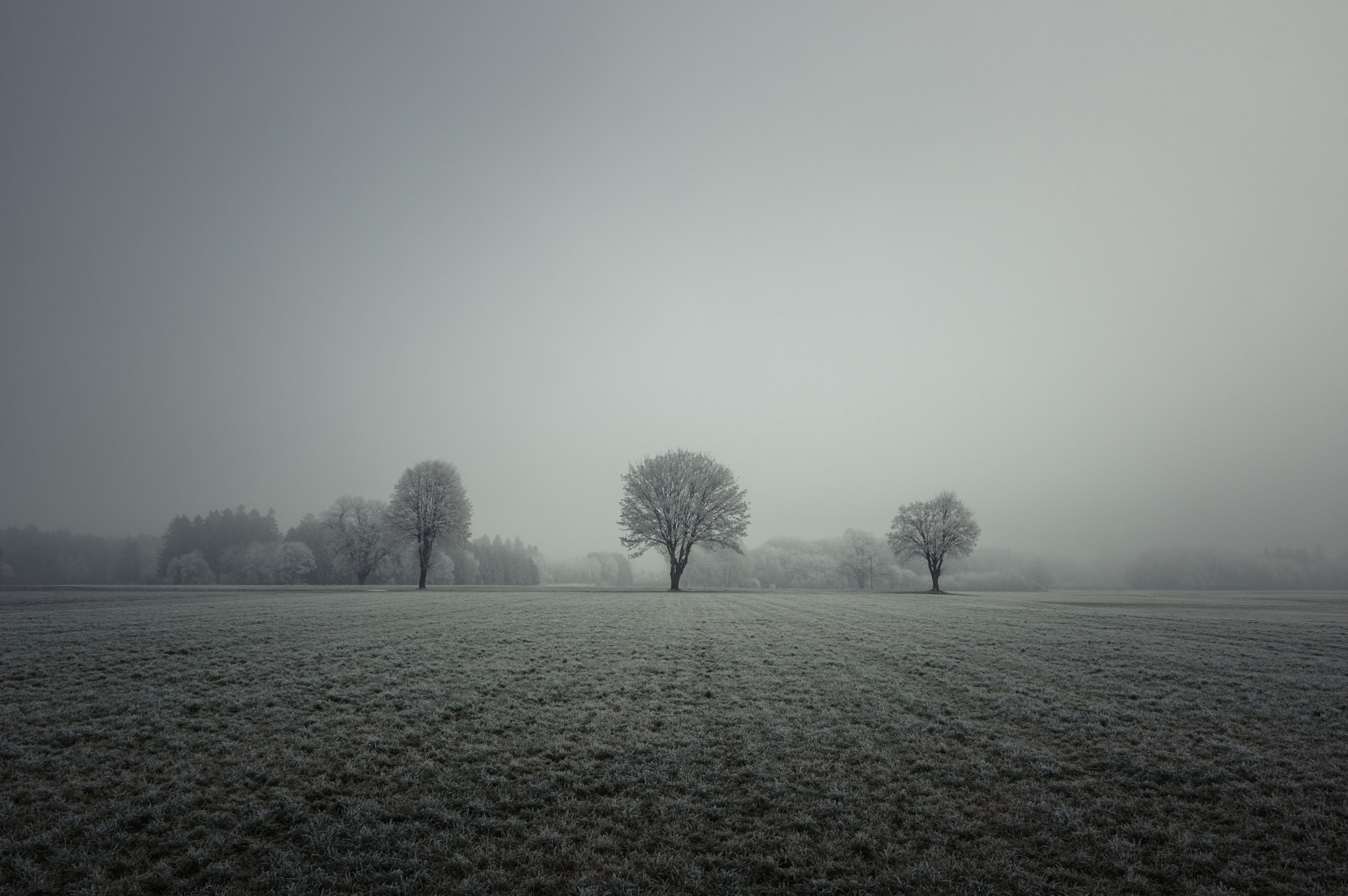 Pentax K-3 II sample photo. The icy three photography