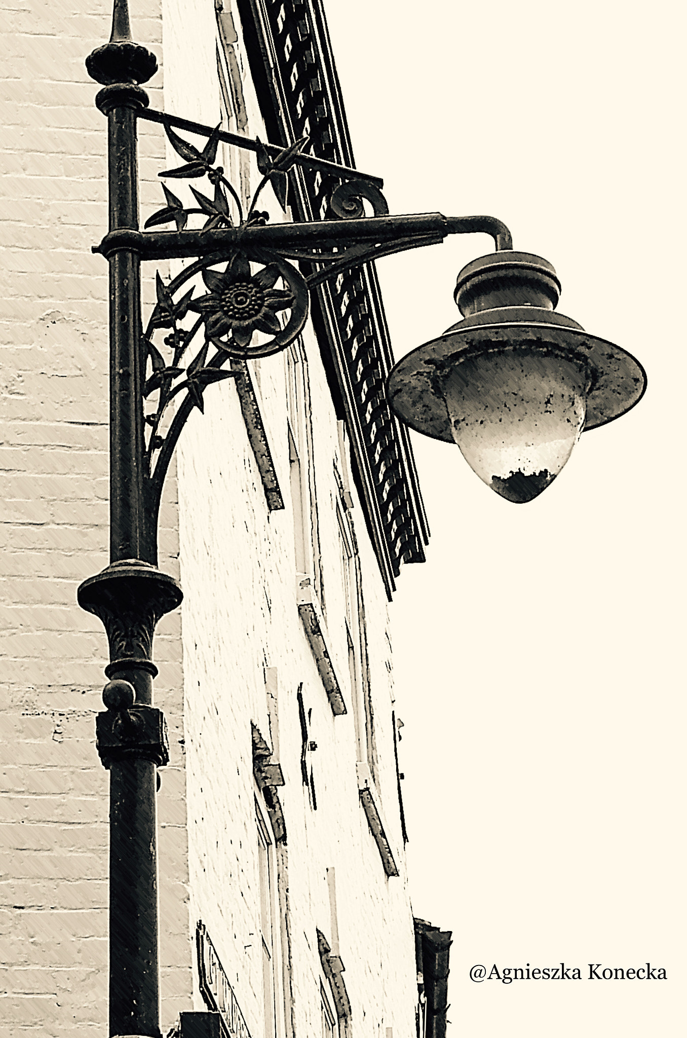 HD Pentax DA 55-300mm F4.0-5.8 ED WR sample photo. Dreams photography