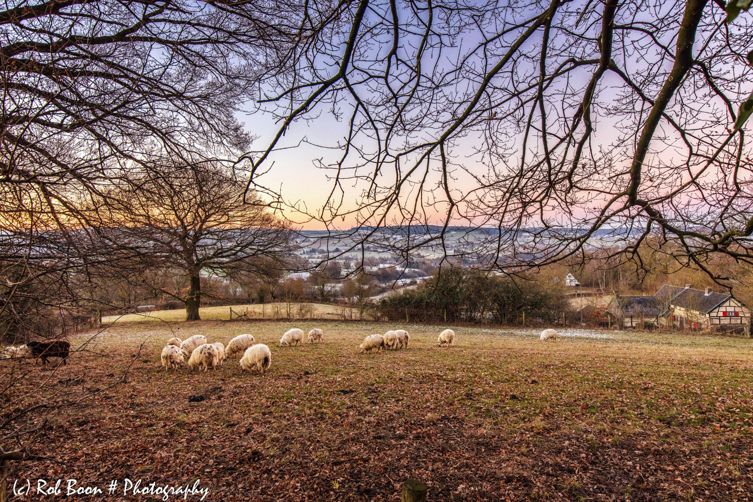 Canon EF 16-35mm F4L IS USM sample photo. Sunrise @ cottessen photography