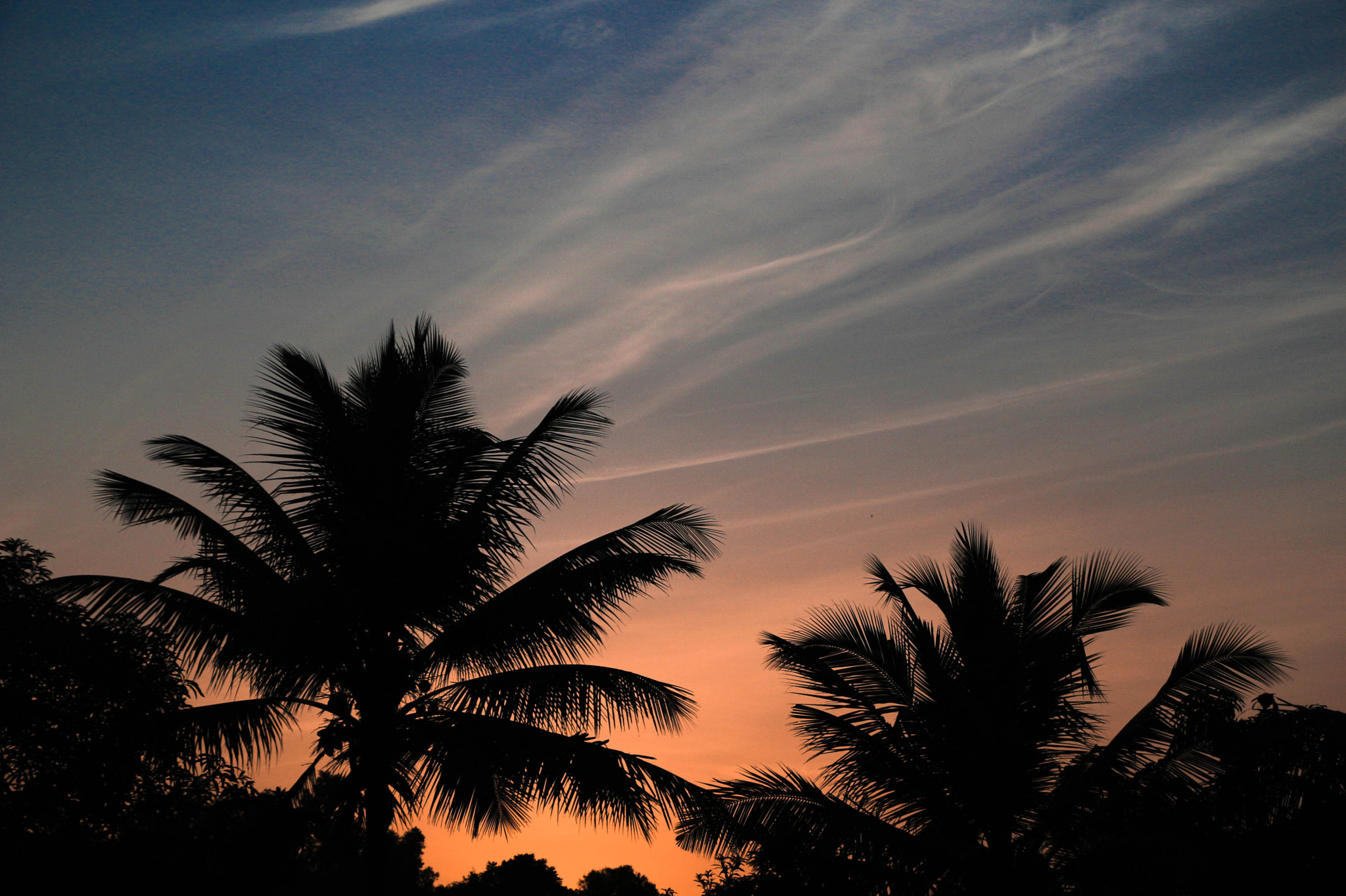 Canon EOS 100D (EOS Rebel SL1 / EOS Kiss X7) sample photo. Evening photography