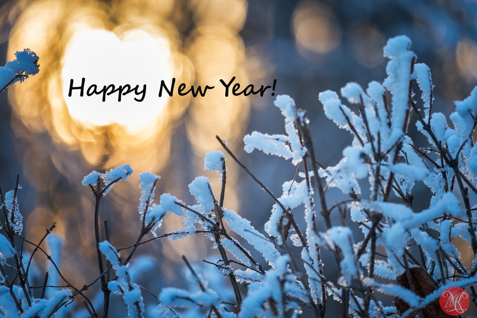 Fujifilm X-E2 + Fujifilm XF 55-200mm F3.5-4.8 R LM OIS sample photo. Happy new year! photography