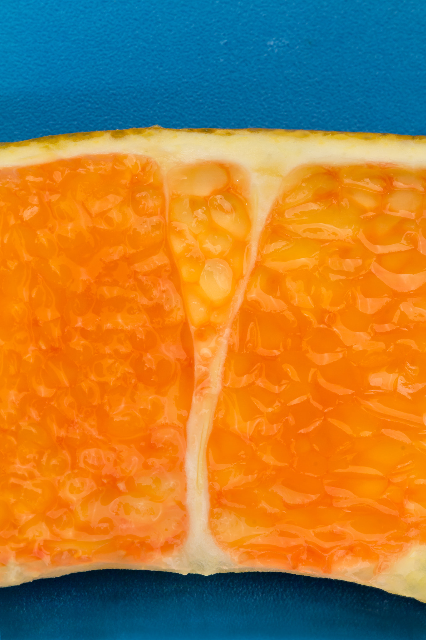 Canon EF 100mm F2.8L Macro IS USM sample photo. Blue and orange, 2 photography