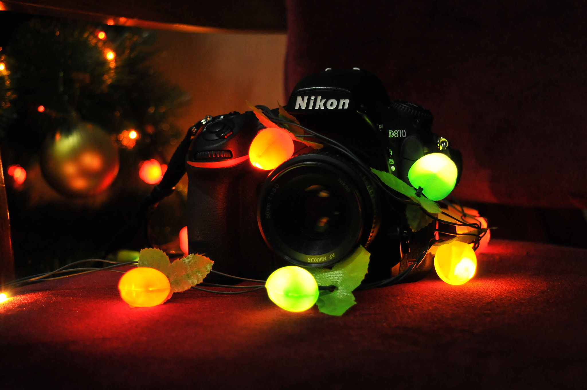 Nikon D300 + Nikon AF-S DX Nikkor 18-55mm F3.5-5.6G VR II sample photo. D810 photography