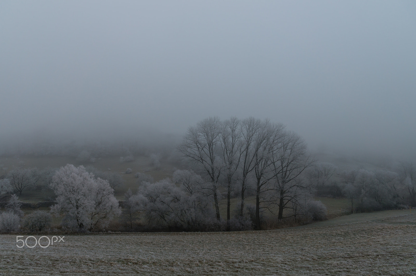 Sony DT 18-135mm F3.5-5.6 SAM sample photo. Winter photography