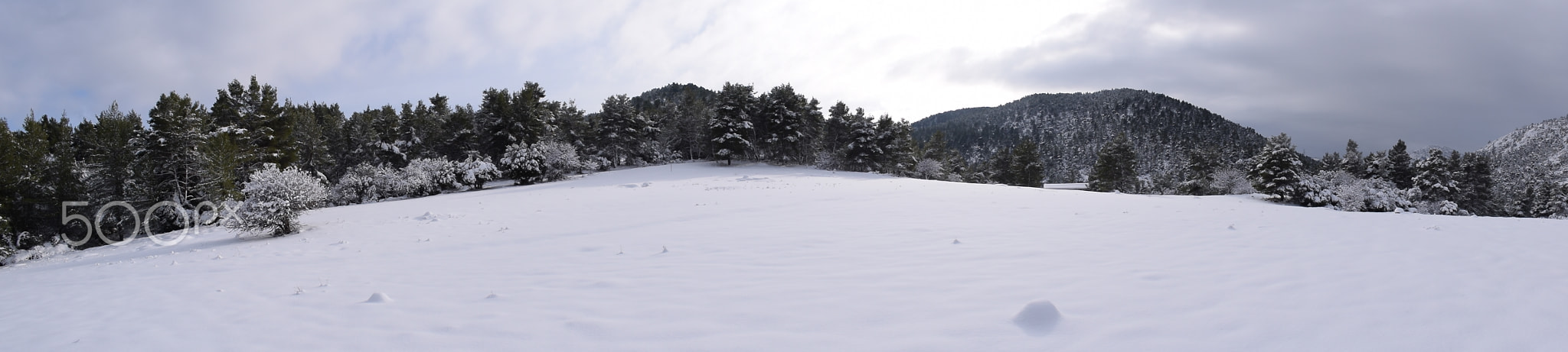 Snow panorama