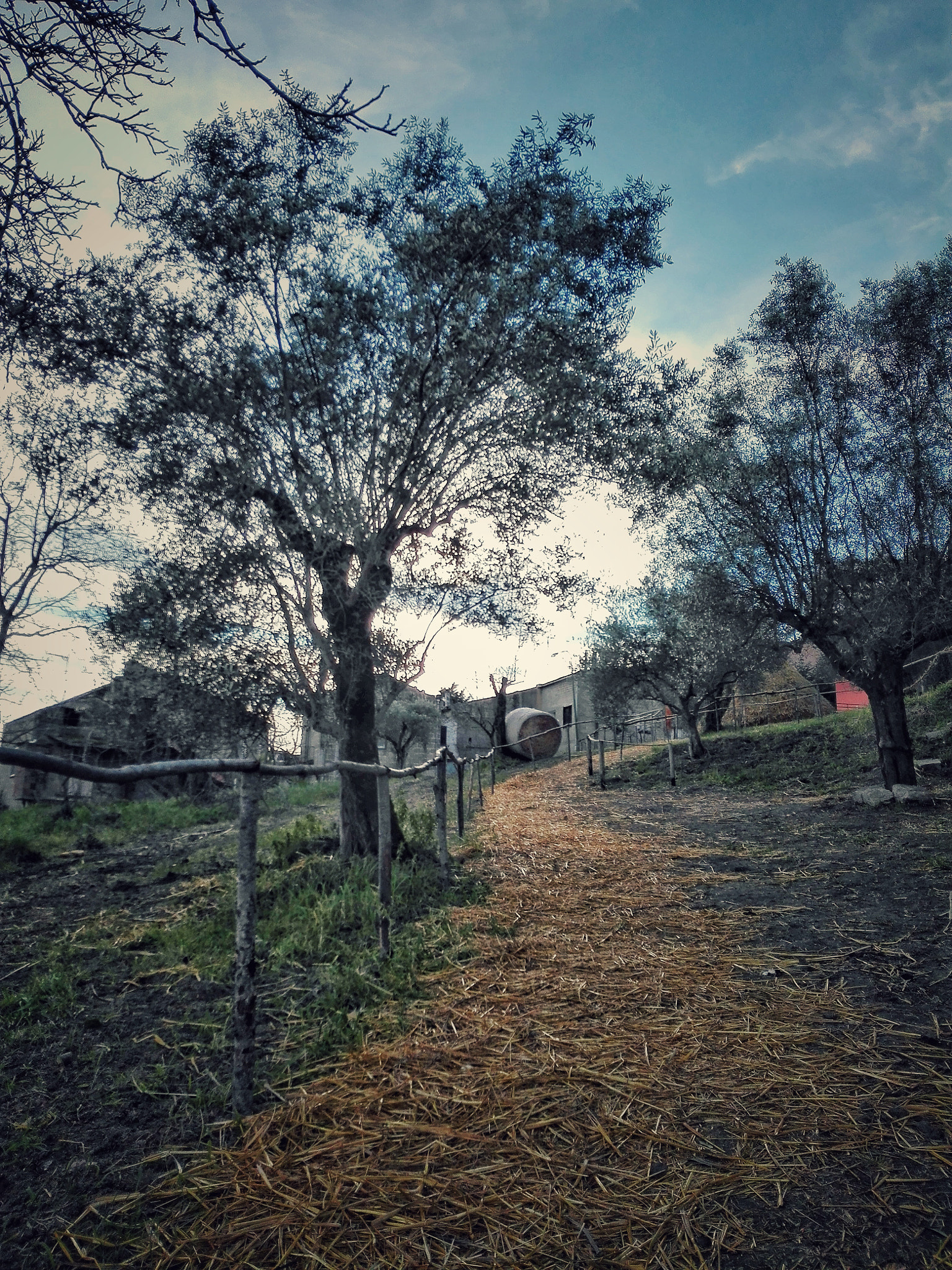 HUAWEI Cherry Mini sample photo. Sentieri ... photography
