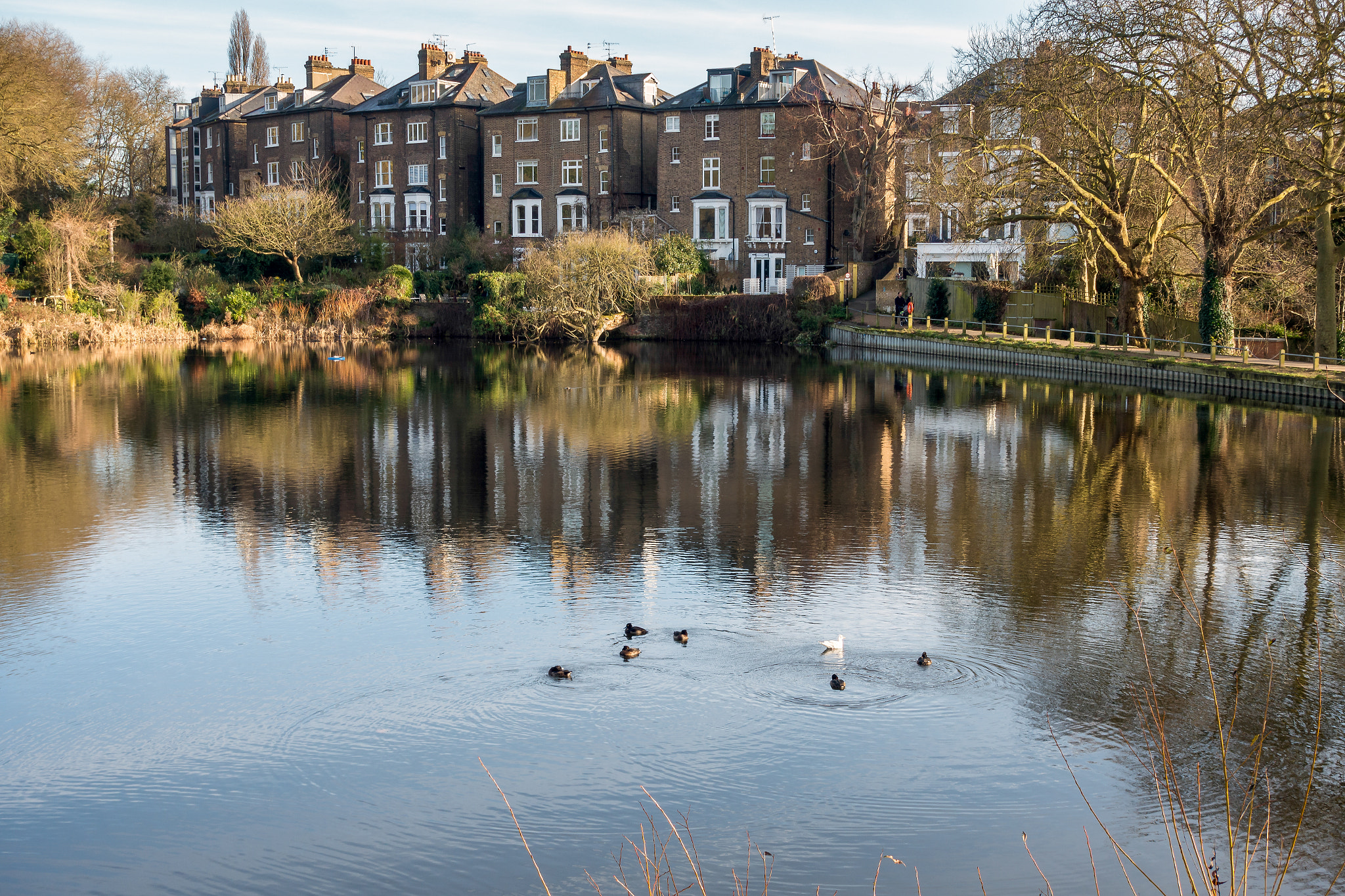 Row of Houses by a Lake at Hampstead in London