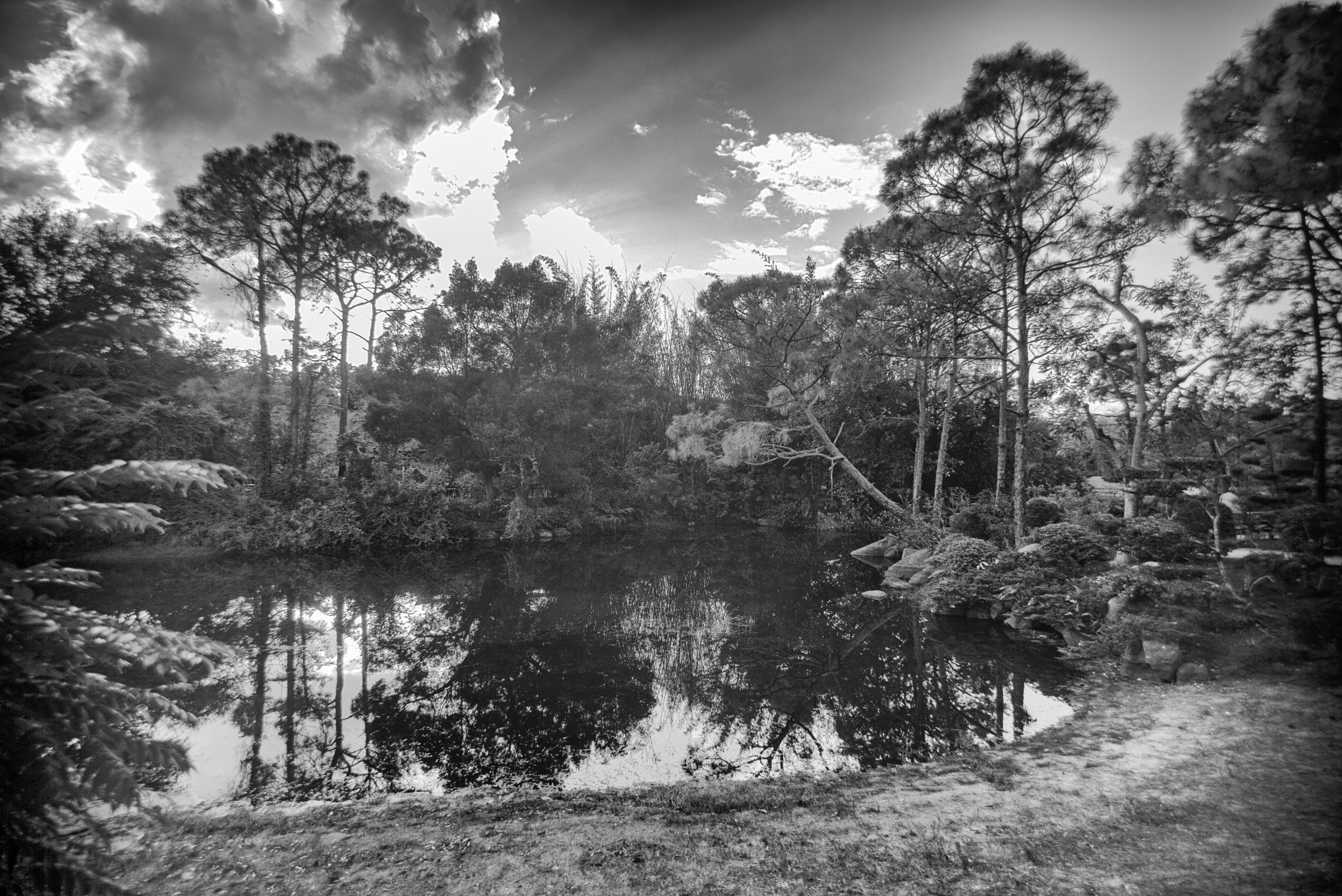 Leica M (Typ 240) sample photo. Edit photography