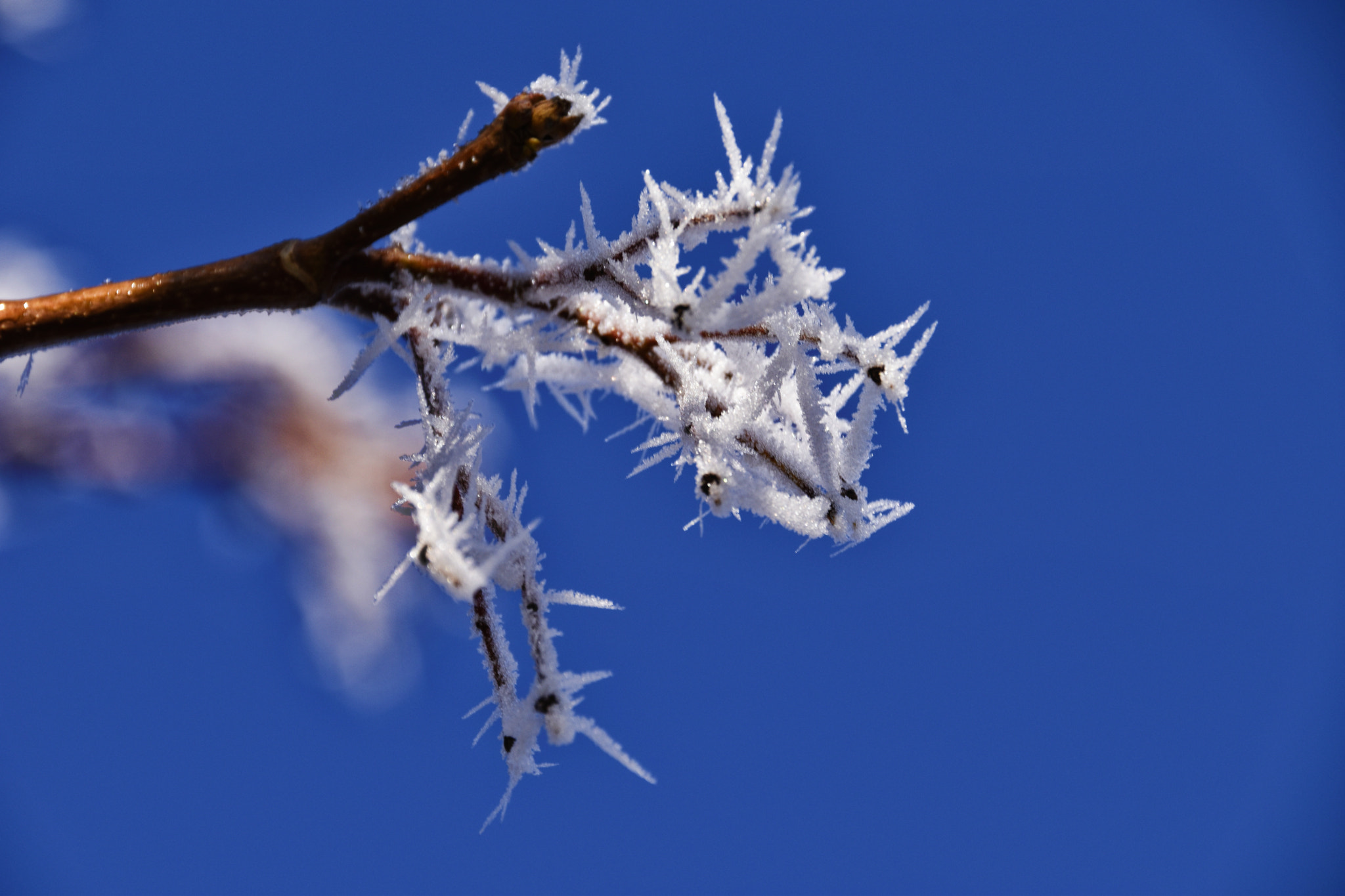 Sigma 18-250mm F3.5-6.3 DC Macro OS HSM sample photo. Silvester 2016 photography