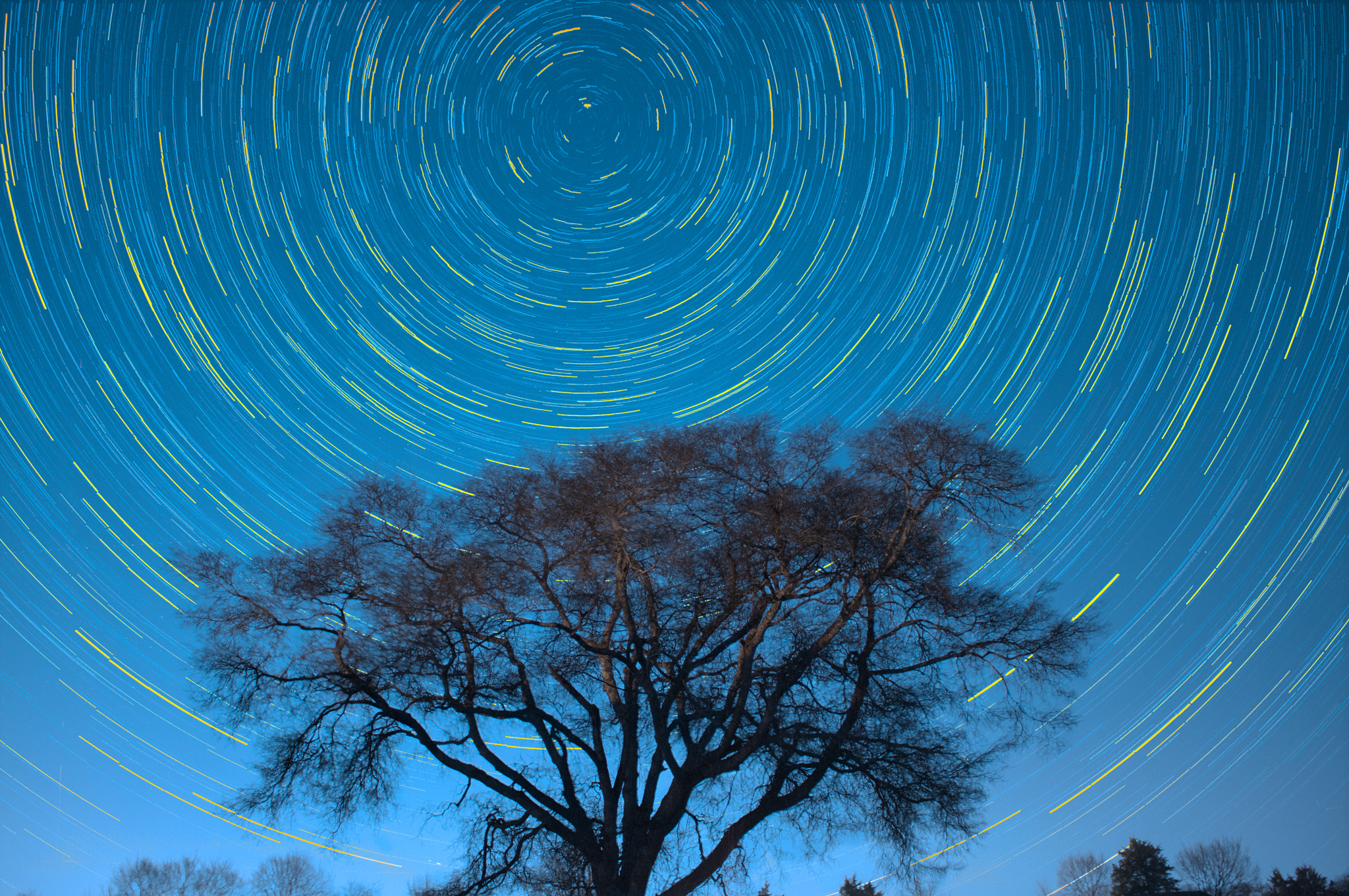 Canon EOS 40D sample photo. Star trail behind lone tree photography