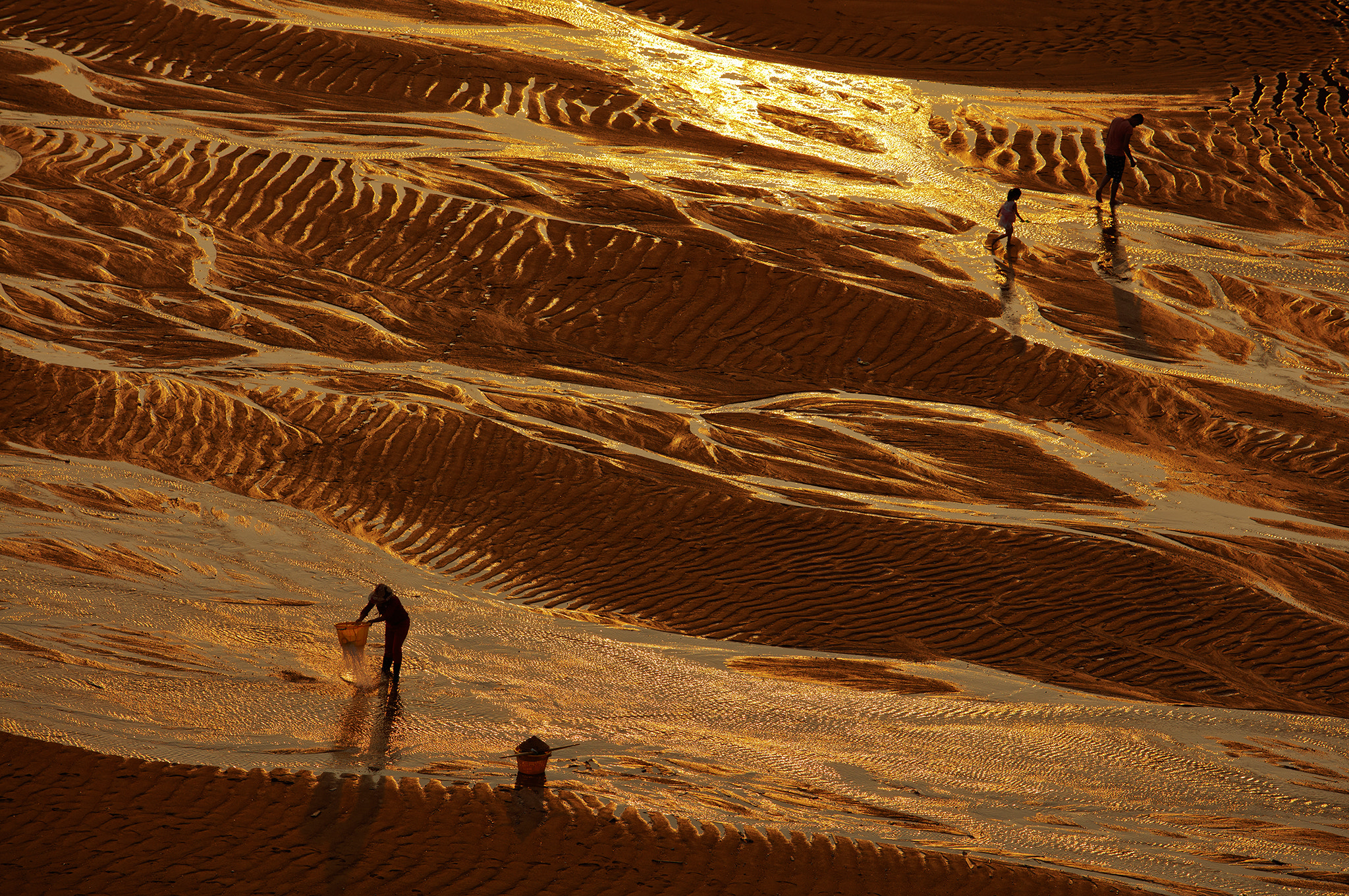 Canon EF 70-200mm F2.8L USM sample photo. Golden beach photography