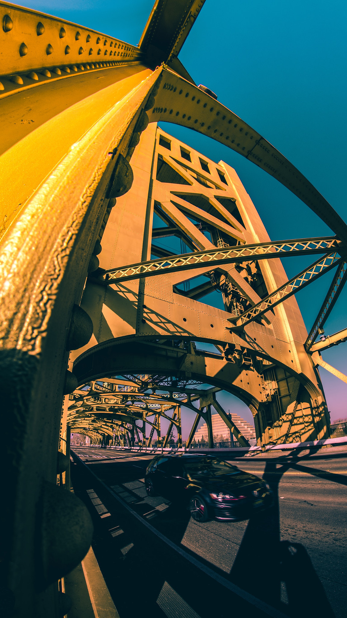 Nikon D3300 + Samyang 8mm F3.5 Aspherical IF MC Fisheye sample photo. Gold bridge, sacramento ca photography