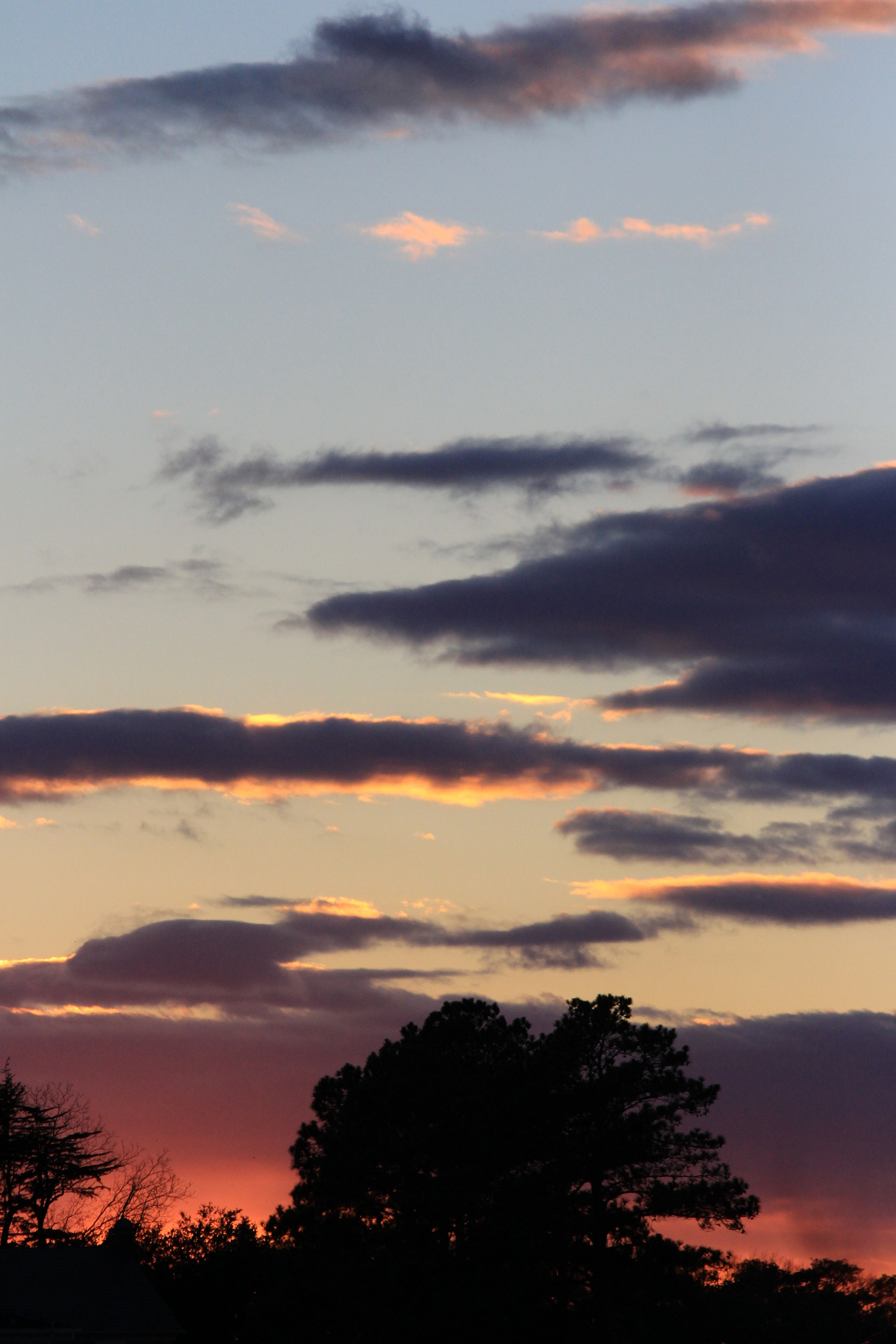 Canon EF 70-300mm F4-5.6 IS USM sample photo