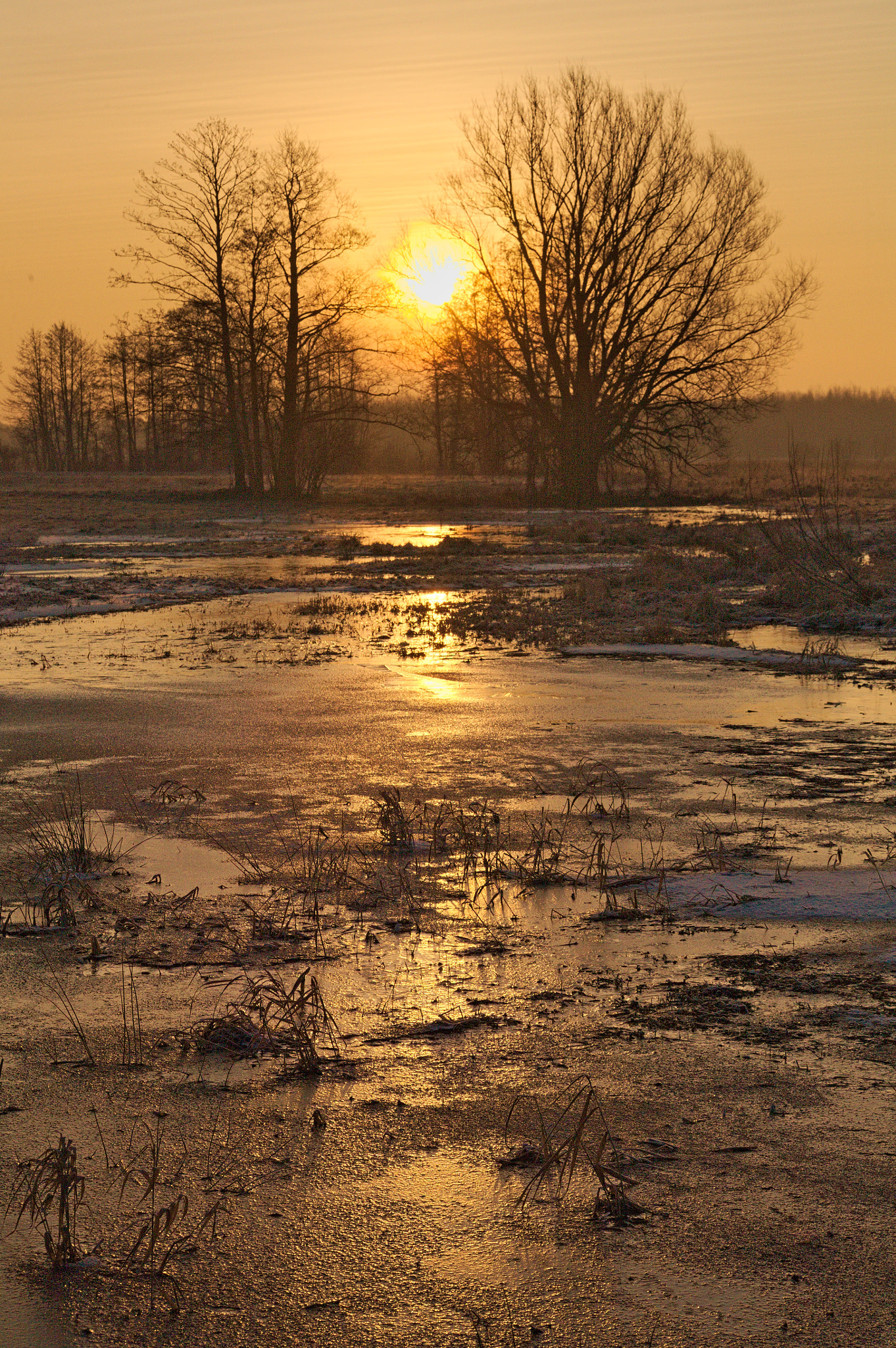 Canon EOS 5D + Sigma 50-200mm F4-5.6 DC OS HSM sample photo. Icy sunrise photography
