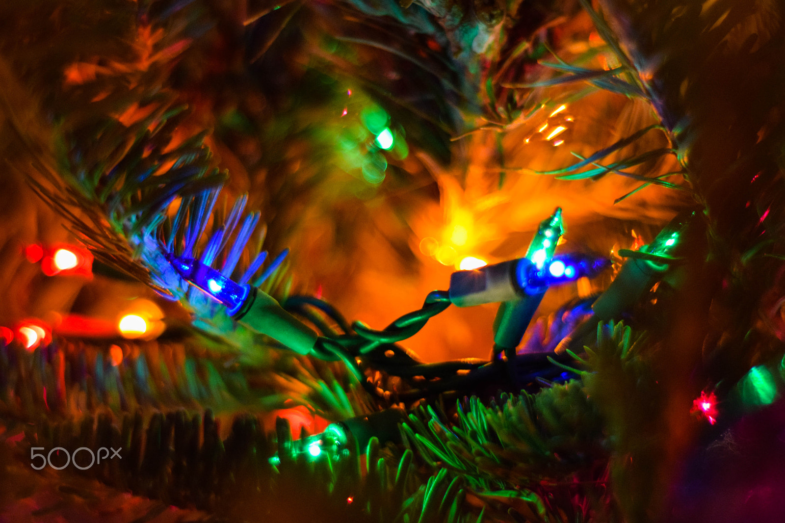 Nikon D5300 + Nikon AF Nikkor 50mm F1.8D sample photo. Christmas photography