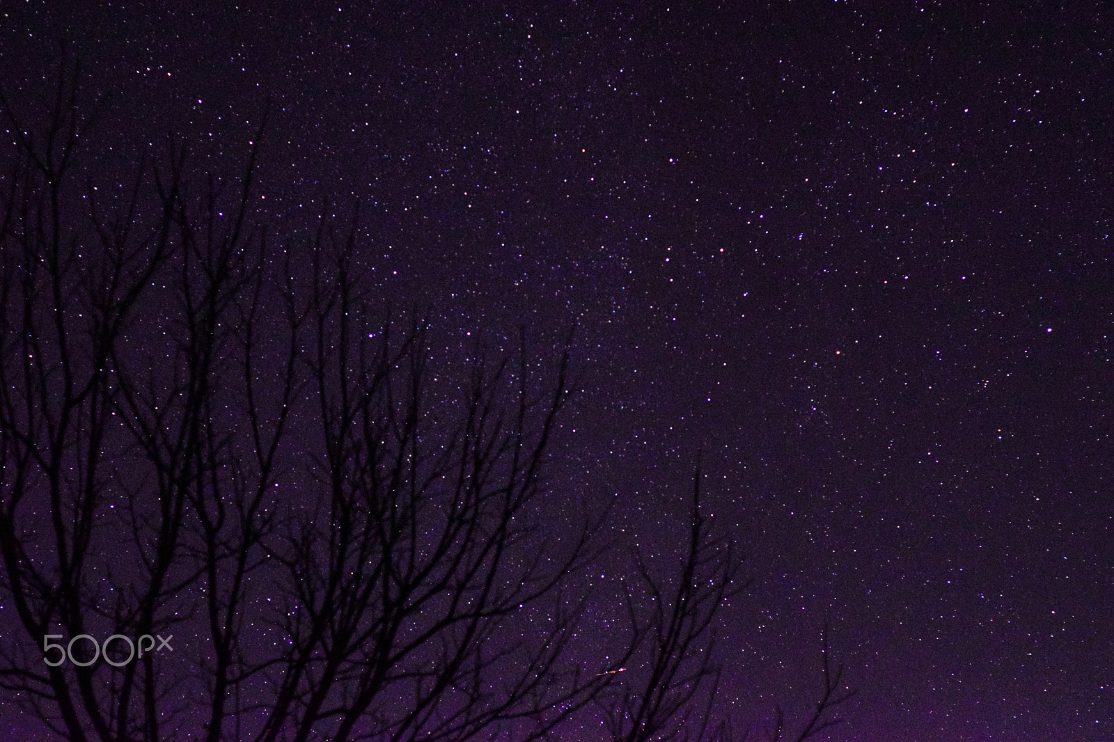 Nikon D5300 + Nikon AF Nikkor 50mm F1.8D sample photo. Starry night photography