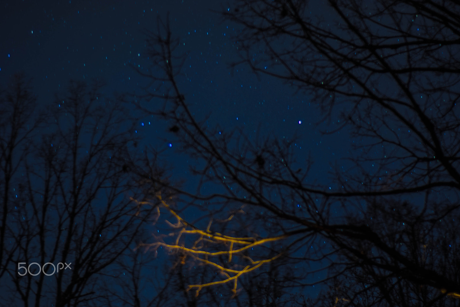 Nikon D5300 + Nikon AF Nikkor 50mm F1.8D sample photo. Star catching photography