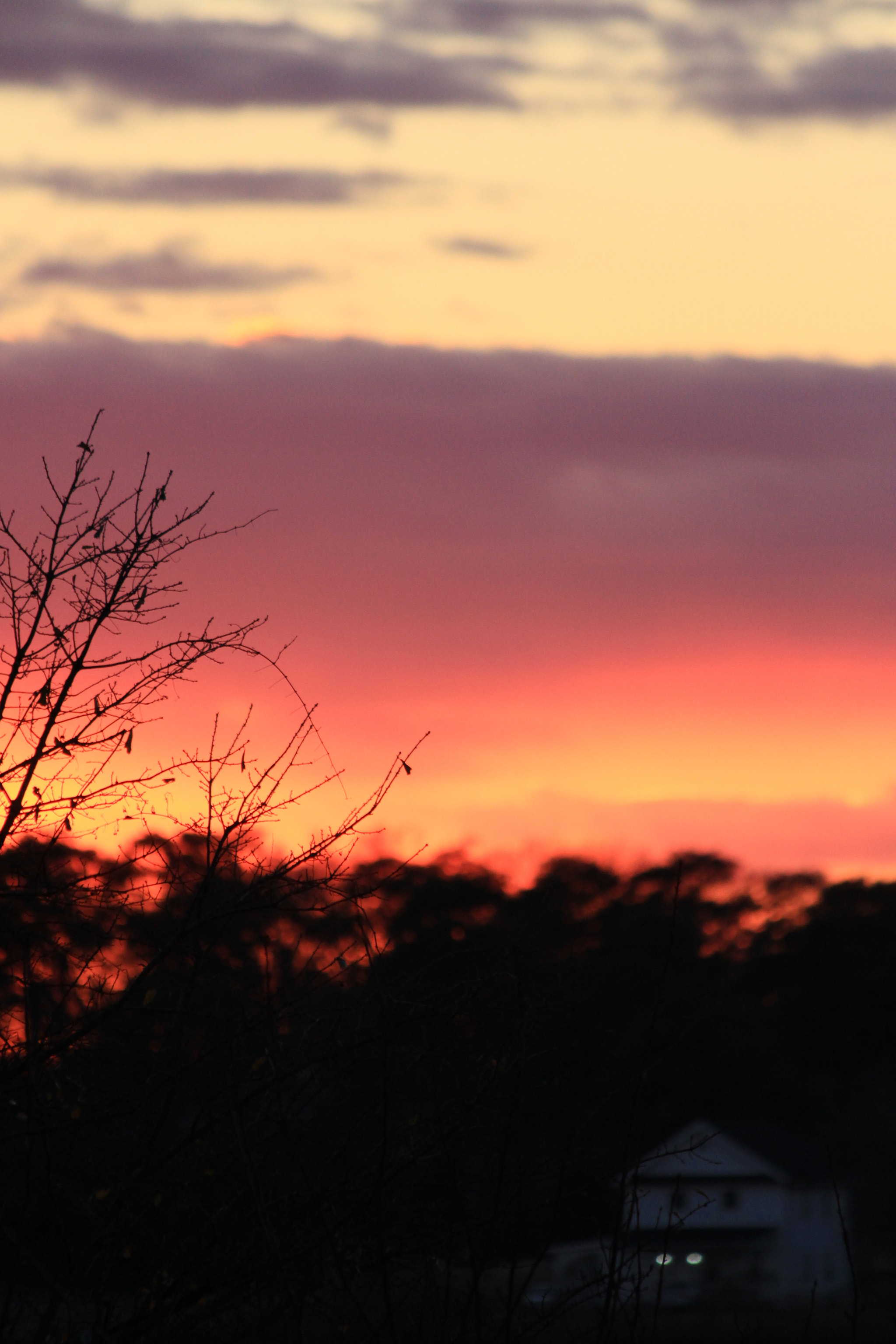 Canon EF 70-300mm F4-5.6 IS USM sample photo