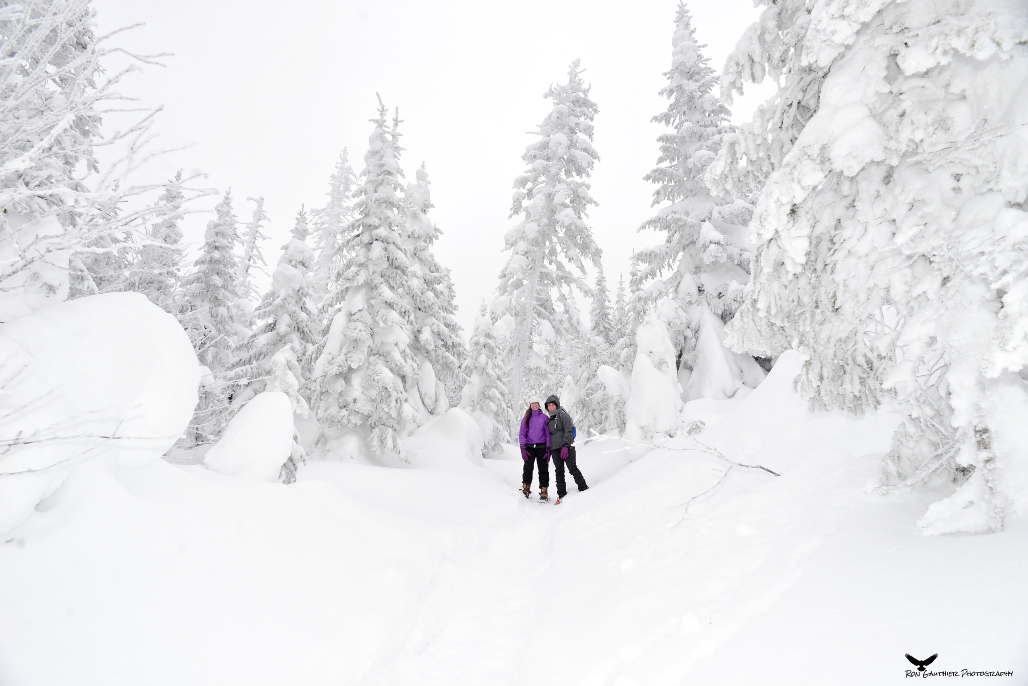 Nikon D610 + Nikon AF Nikkor 20mm F2.8D sample photo. Now that's winter in quebec ! photography