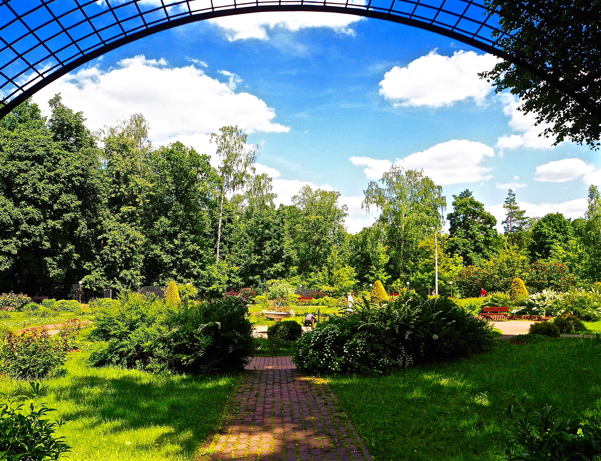 Olympus PEN E-PL7 sample photo. Flower garden in sokolniki photography