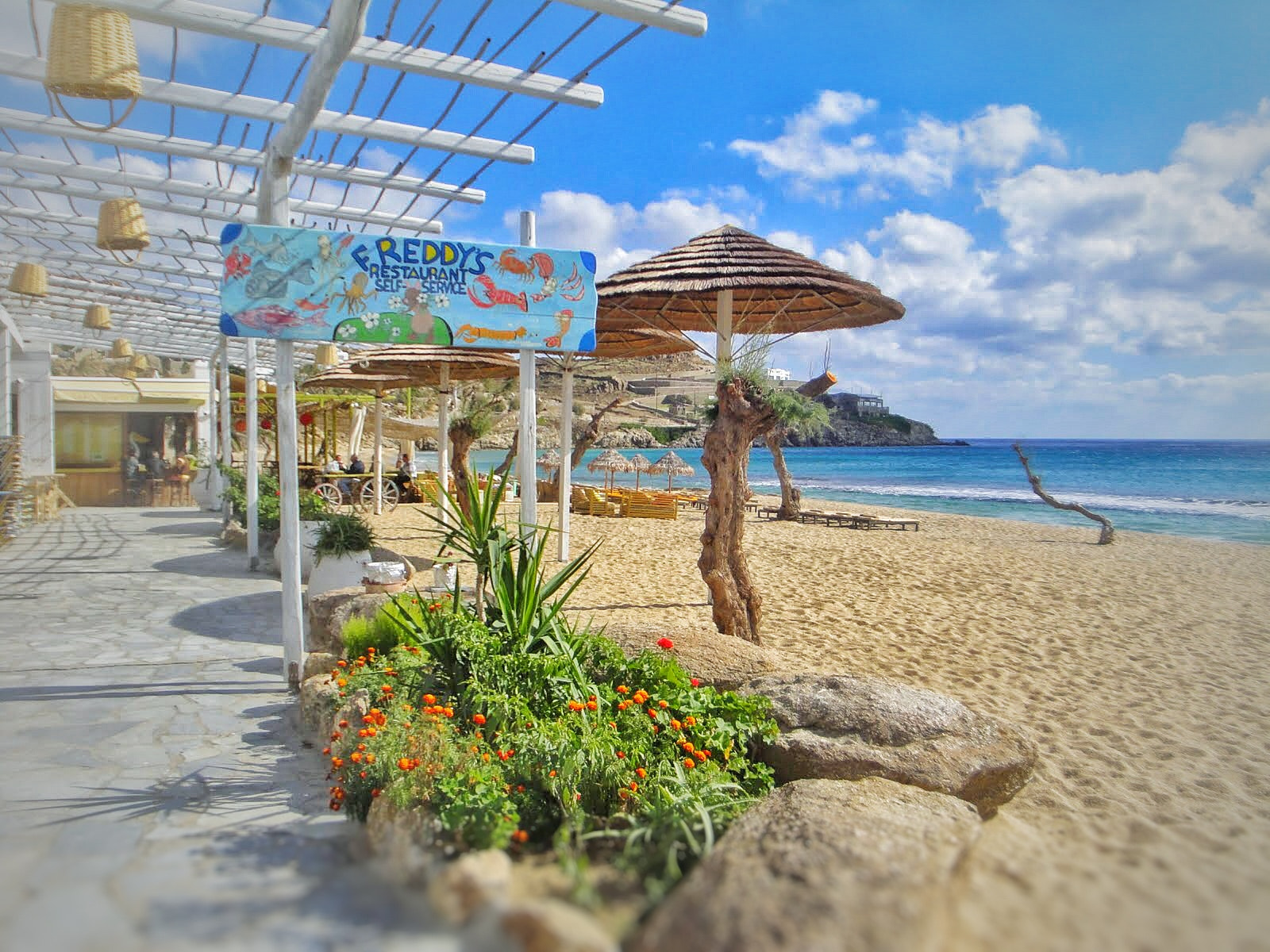 Sony DSC-W270 sample photo. Paradise beach mykonos photography