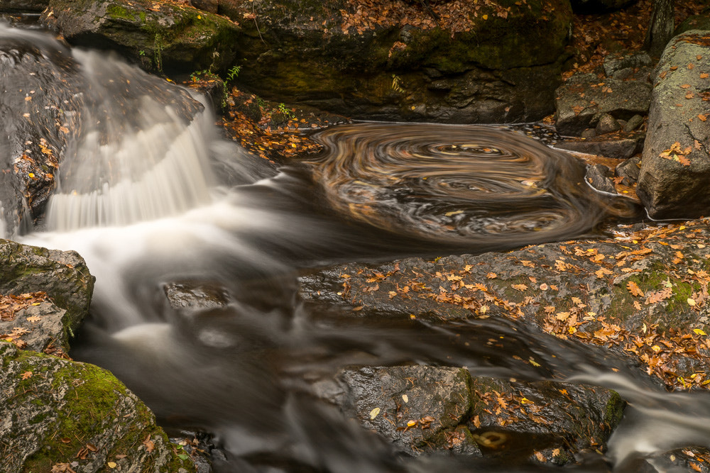 Sony ILCA-77M2 sample photo. Autumn swirl photography