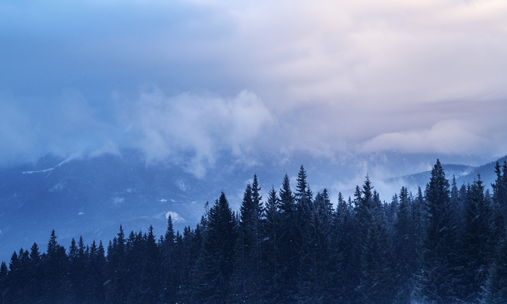 Pentax K-30 sample photo. Somewhere in carpathians photography