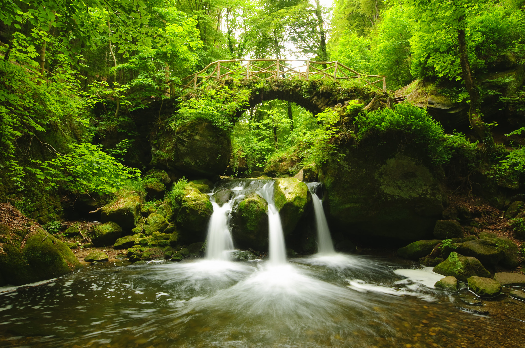 Nikon AF-S Nikkor 14-24mm F2.8G ED sample photo. Schiessentumpel photography