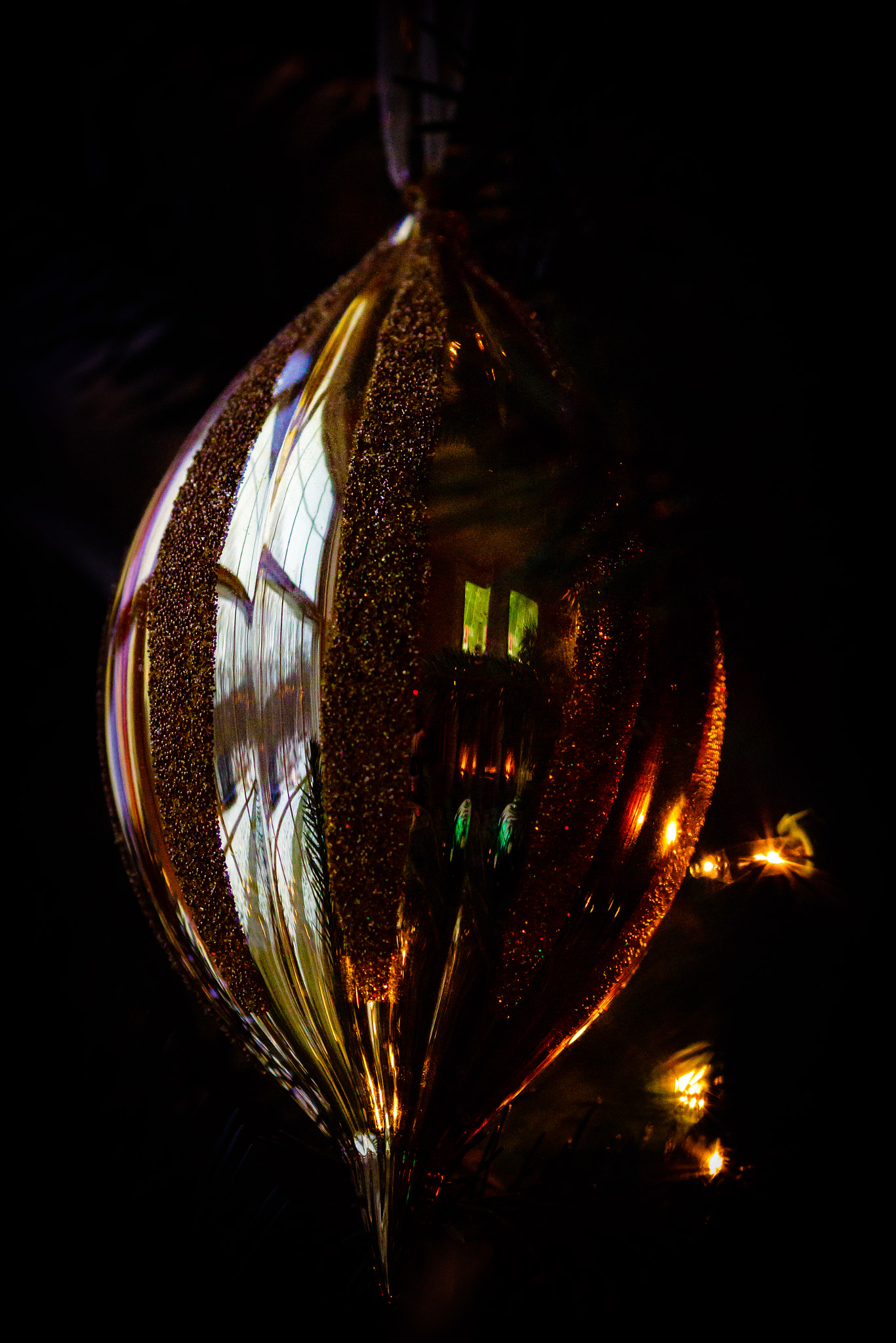 Canon EOS 7D Mark II + Canon EF 135mm F2L USM sample photo. Reflected light photography