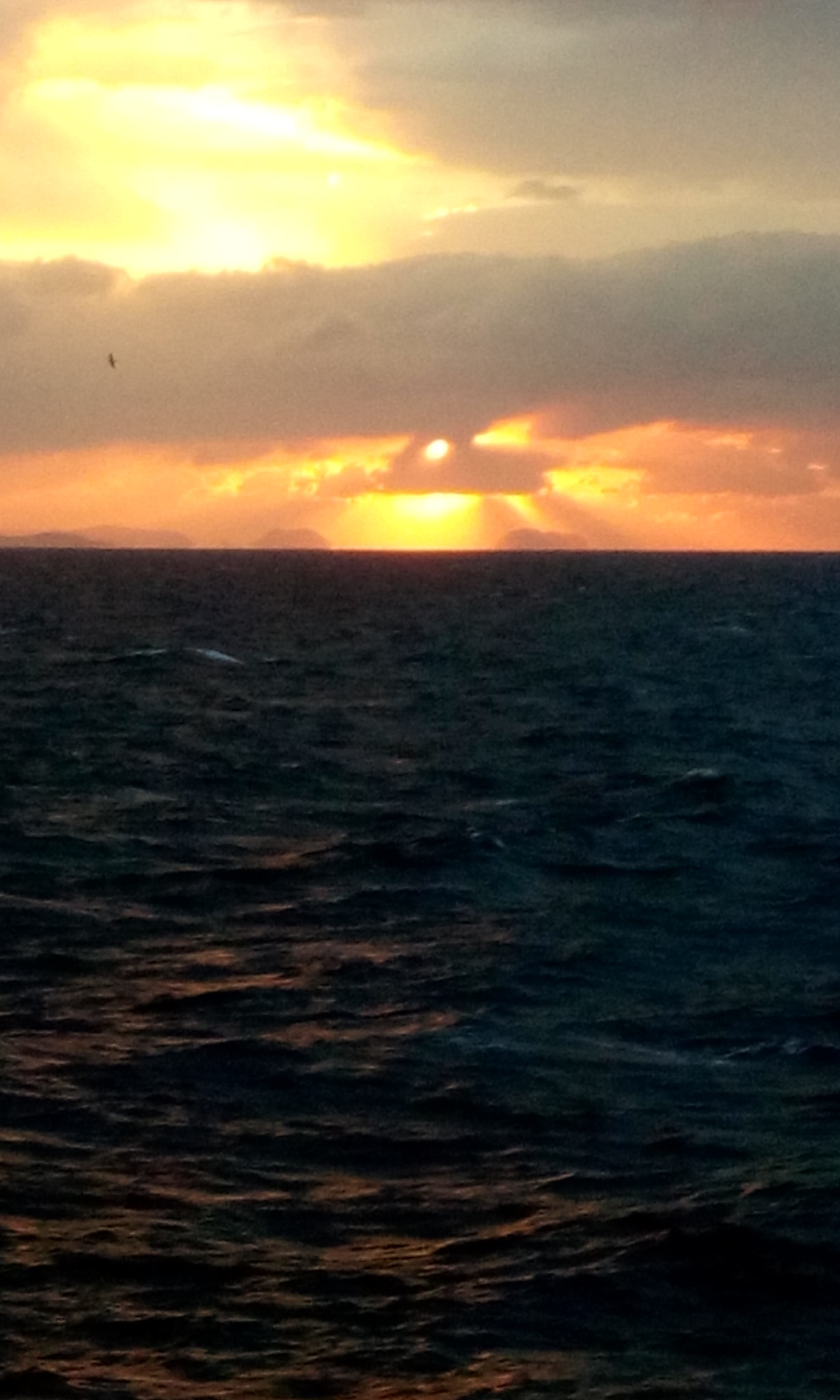HTC DESIRE 816G DUAL SIM sample photo. Rising sun in the ocean photography