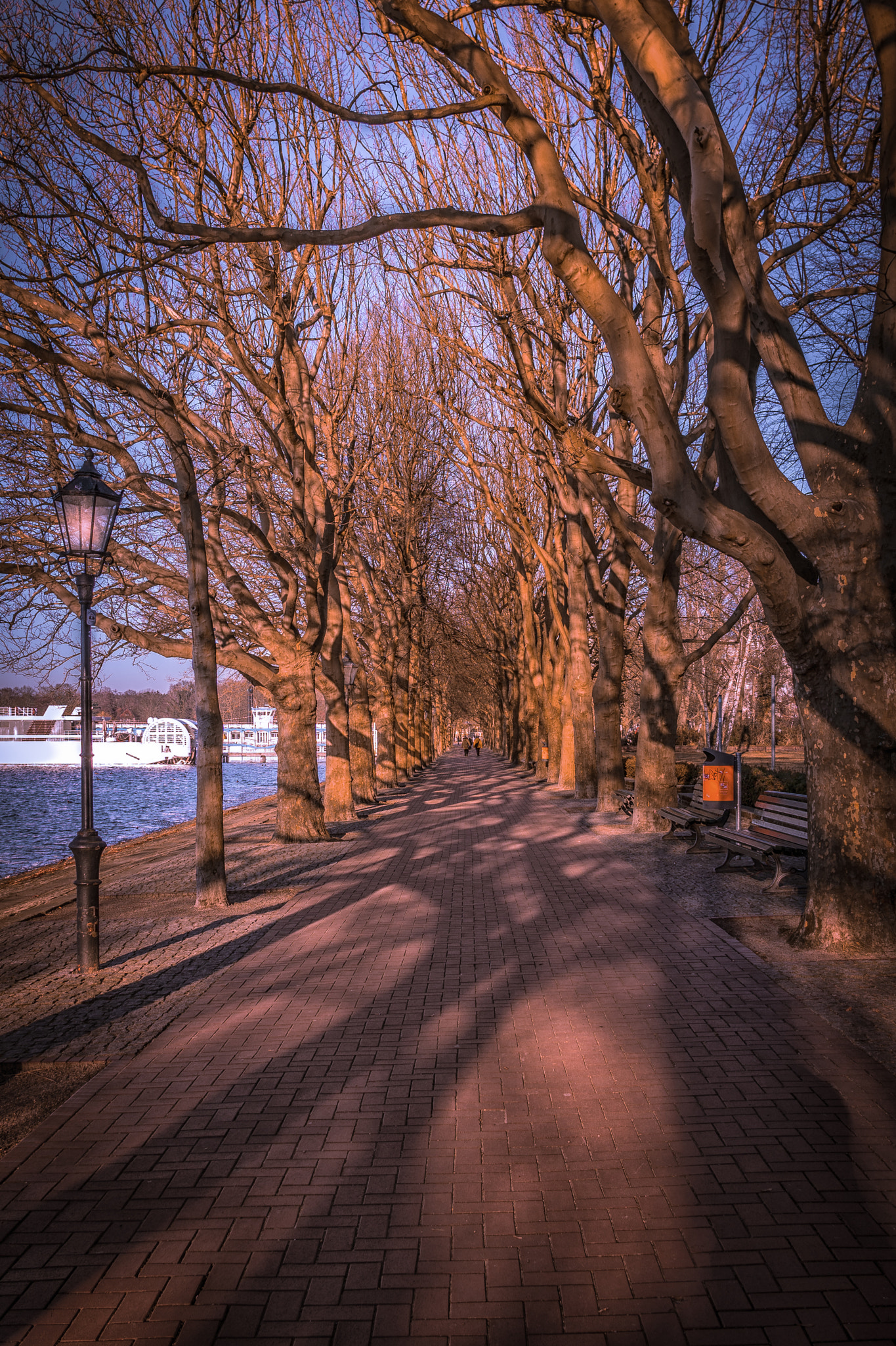 Sony a6300 + Sigma 19mm F2.8 EX DN sample photo. The walk photography