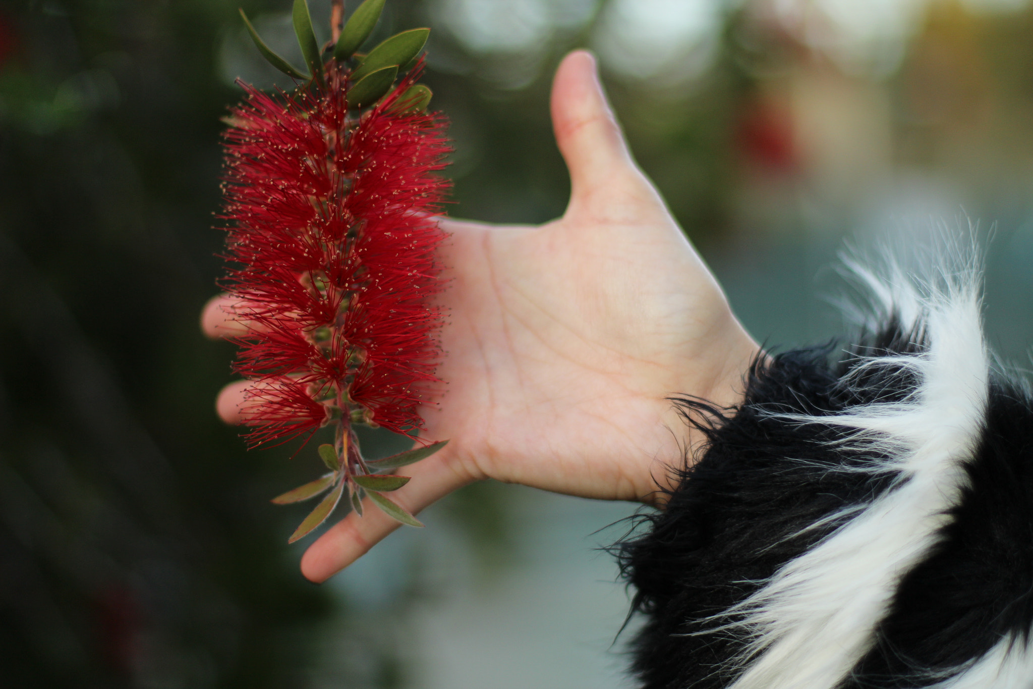 Canon EF 50mm F1.4 USM sample photo. Img photography