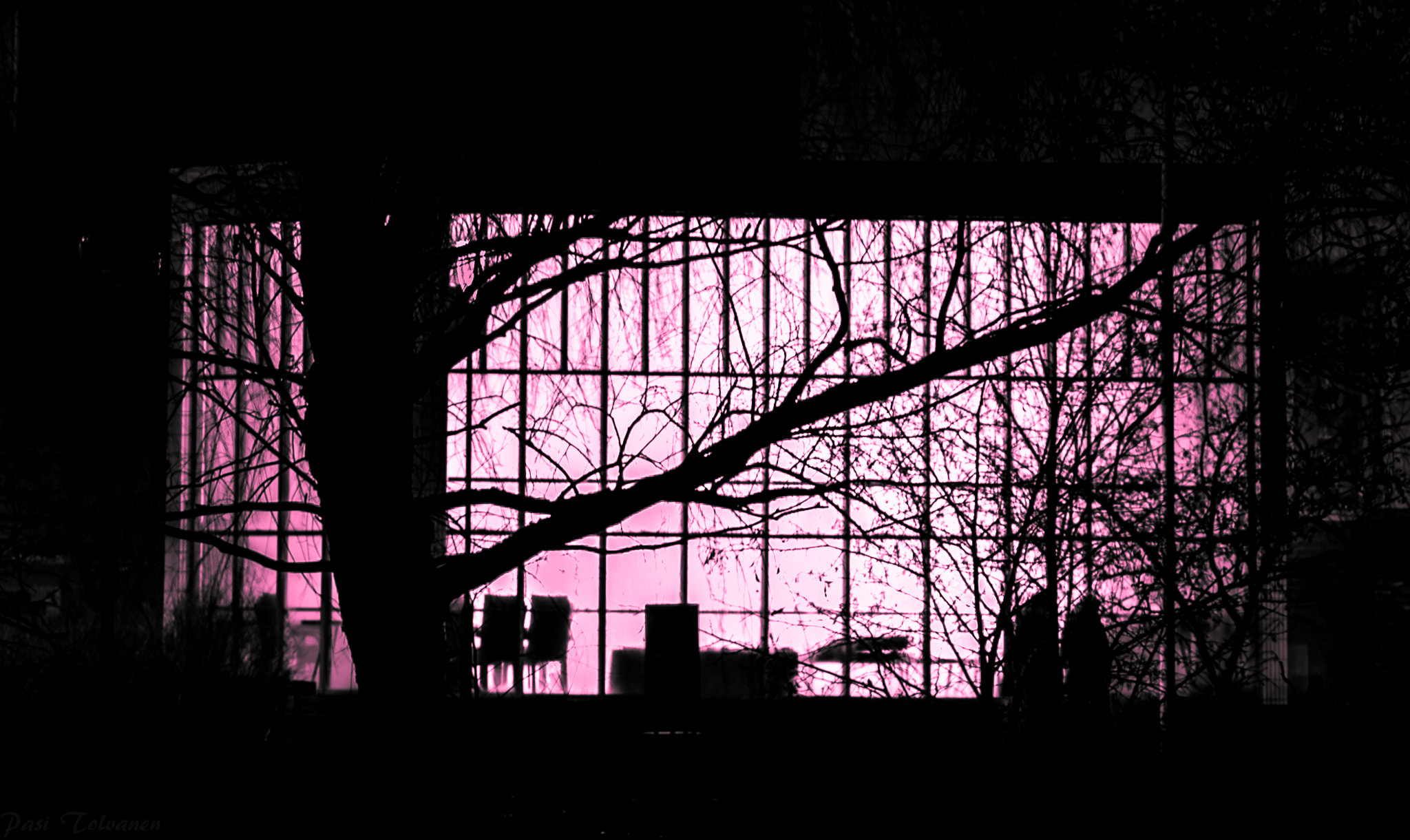 Nikon Df sample photo. Silhouette photography