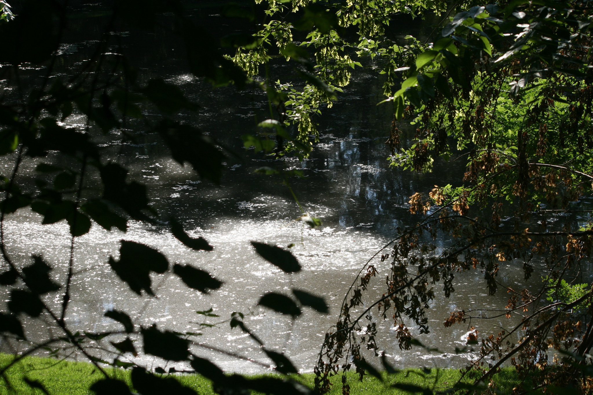 Canon EF-S 55-250mm F4-5.6 IS sample photo. The pond to the stream photography