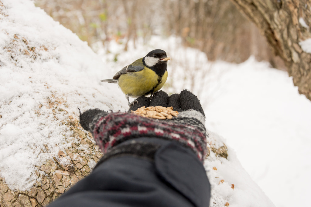 *** by Mariana Atanasova on 500px.com