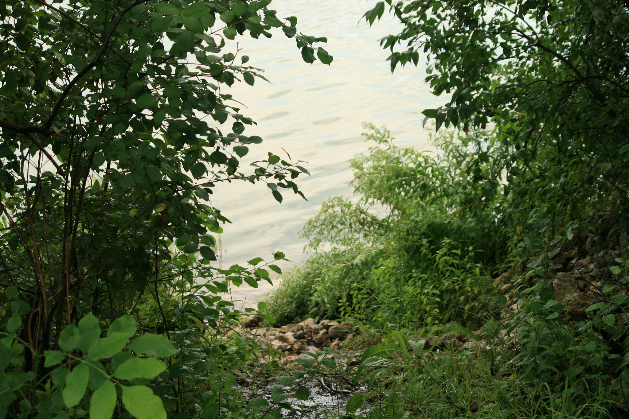 Canon EF-S 55-250mm F4-5.6 IS sample photo. The path to the lake photography
