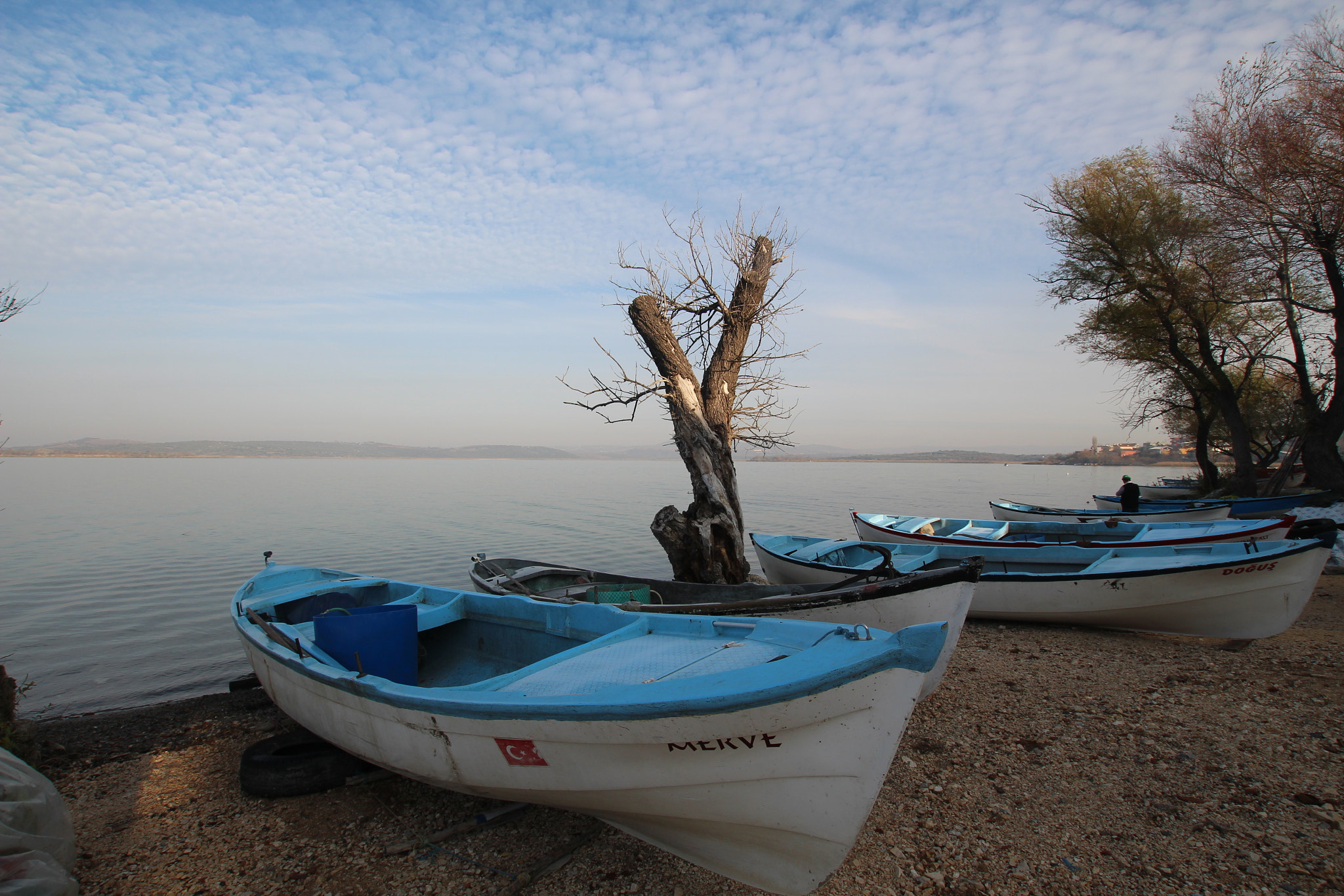 Sigma 10-20mm F3.5 EX DC HSM sample photo. Img photography