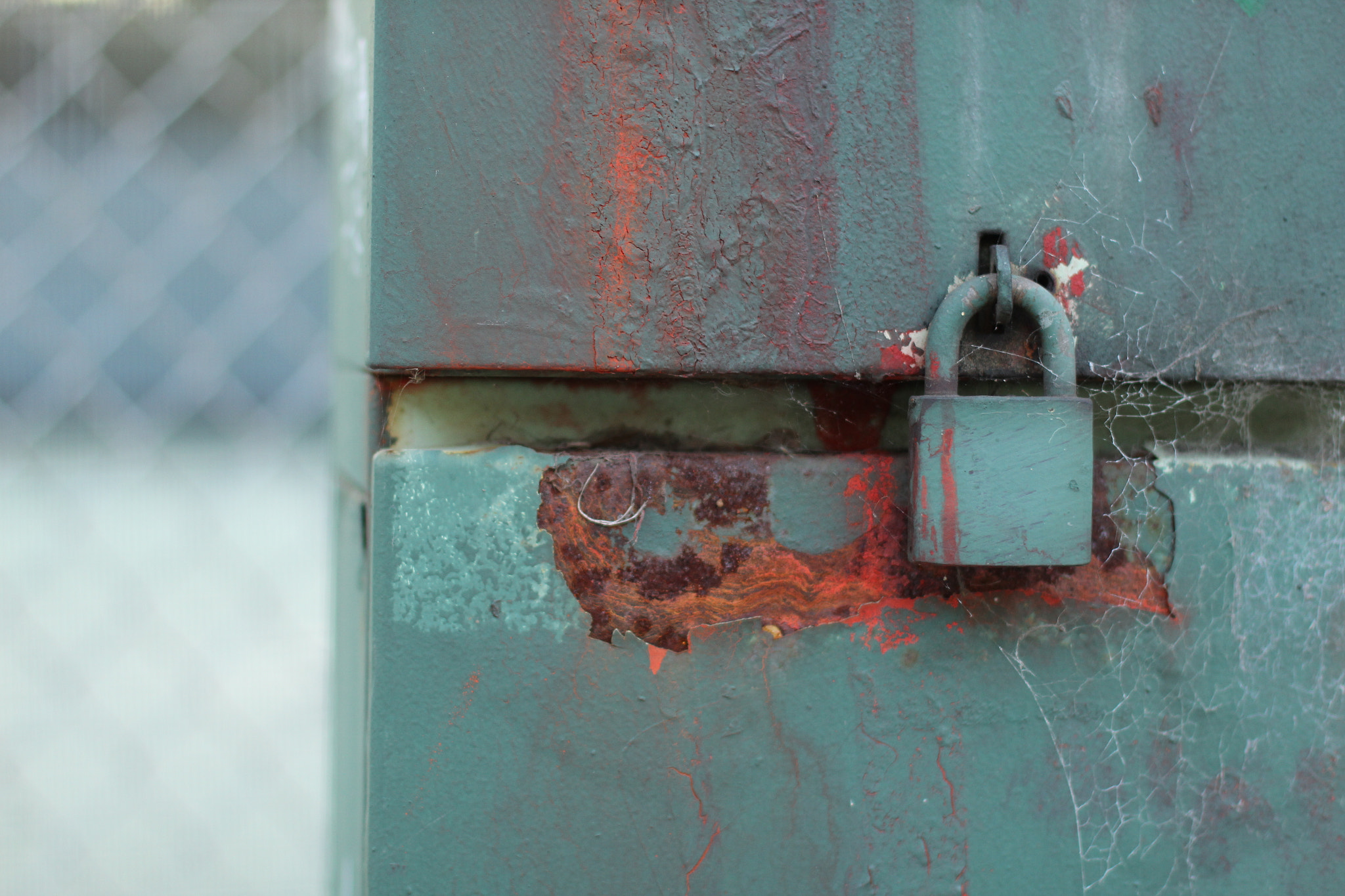 Canon EF 50mm F1.4 USM sample photo. Img photography