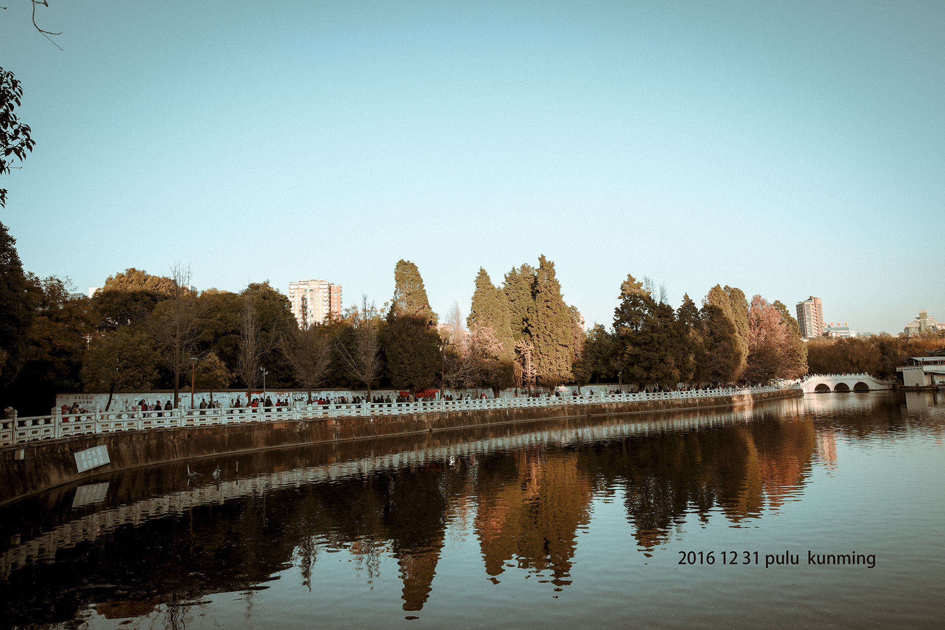 Sigma 24mm F1.4 DG HSM Art sample photo