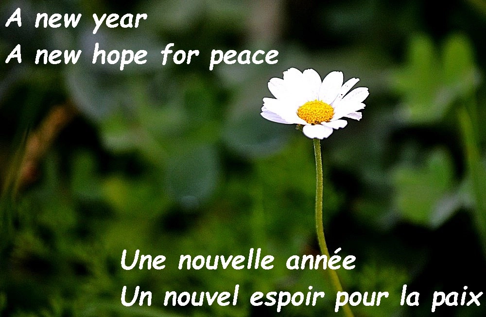 Sigma 70-300mm F4-5.6 APO Macro Super II sample photo. A new year a new hope for peace photography