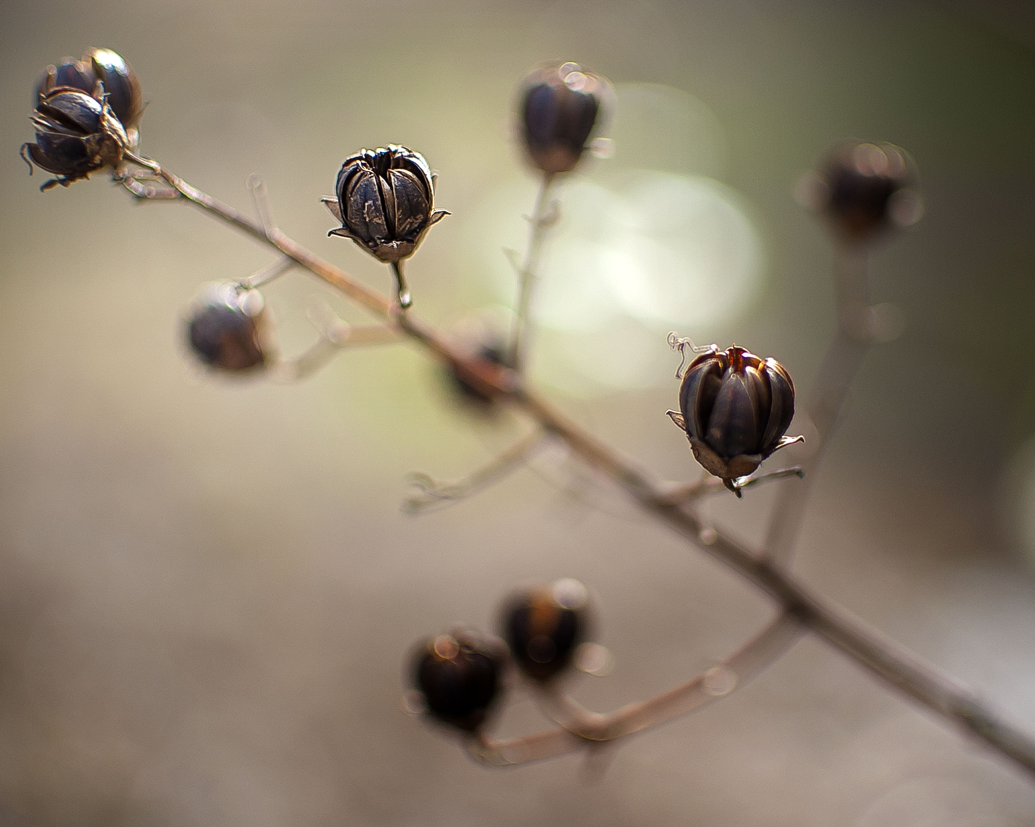 Nikon D3 sample photo. Pod photography