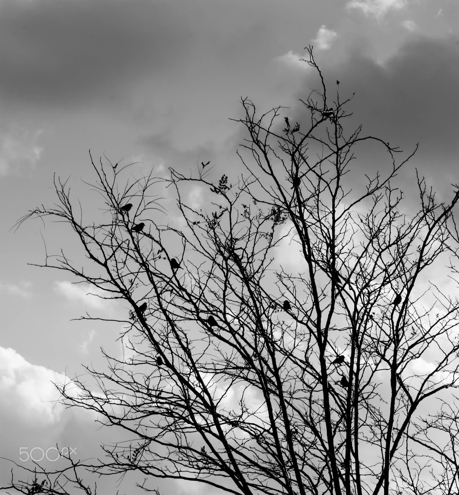 Nikon AF-S DX Micro-Nikkor 85mm F3.5G ED VR sample photo. Sky today photography