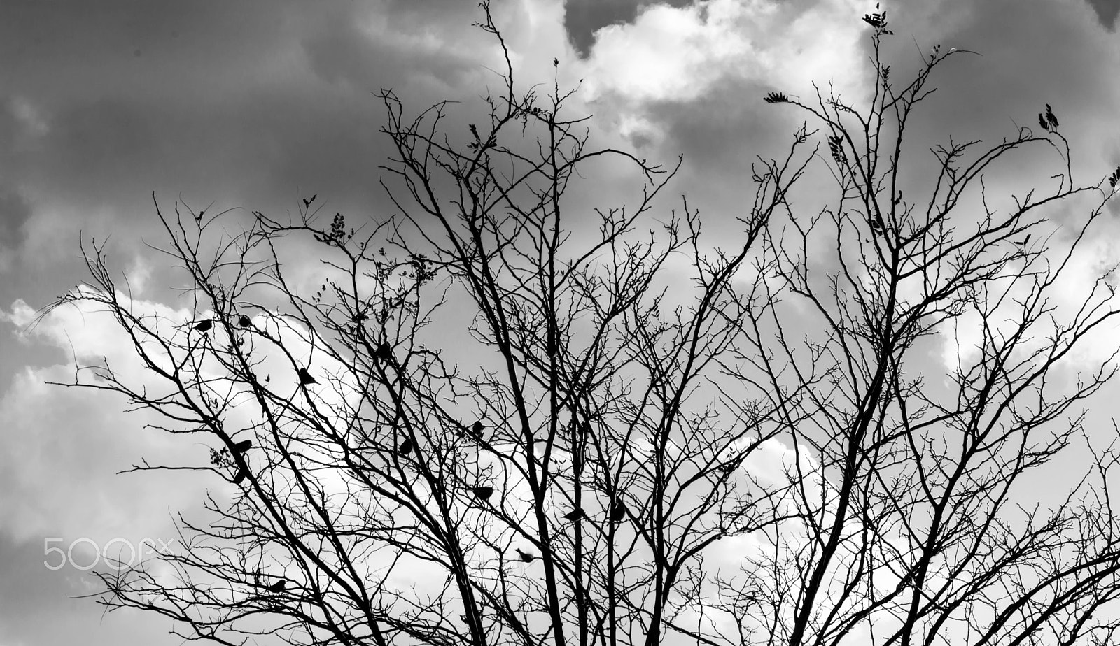 Nikon AF-S DX Micro-Nikkor 85mm F3.5G ED VR sample photo. Sky today photography